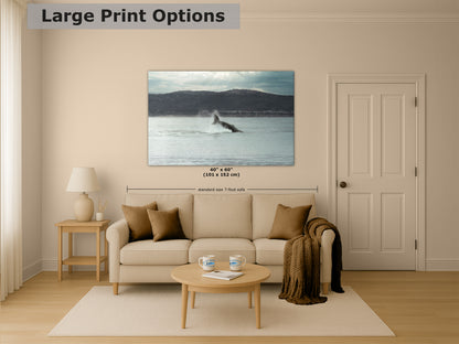 Humpback Whale Marine Mammal Wildlife Photography, Ocean Nature Art, Marine Conservation, Dolphin & Sea Life Gift, House Decor