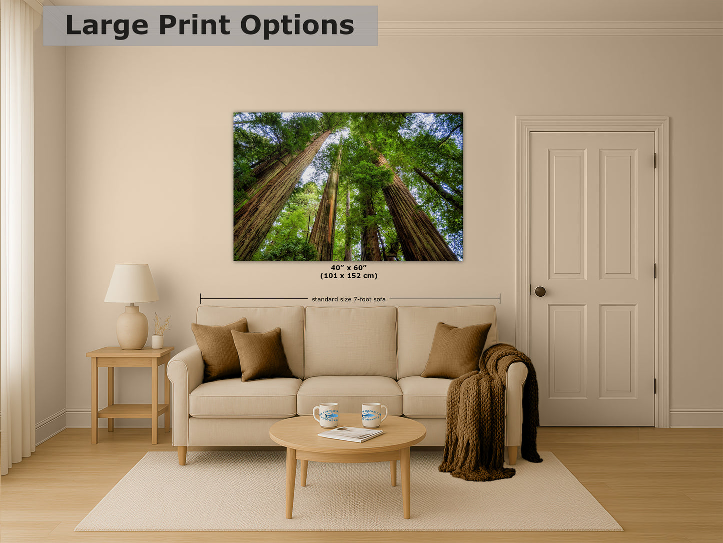 Redwood Trees Forest Picture Nature Photo | Forest Bathing Relaxation Decor for Meditation, House, and Office