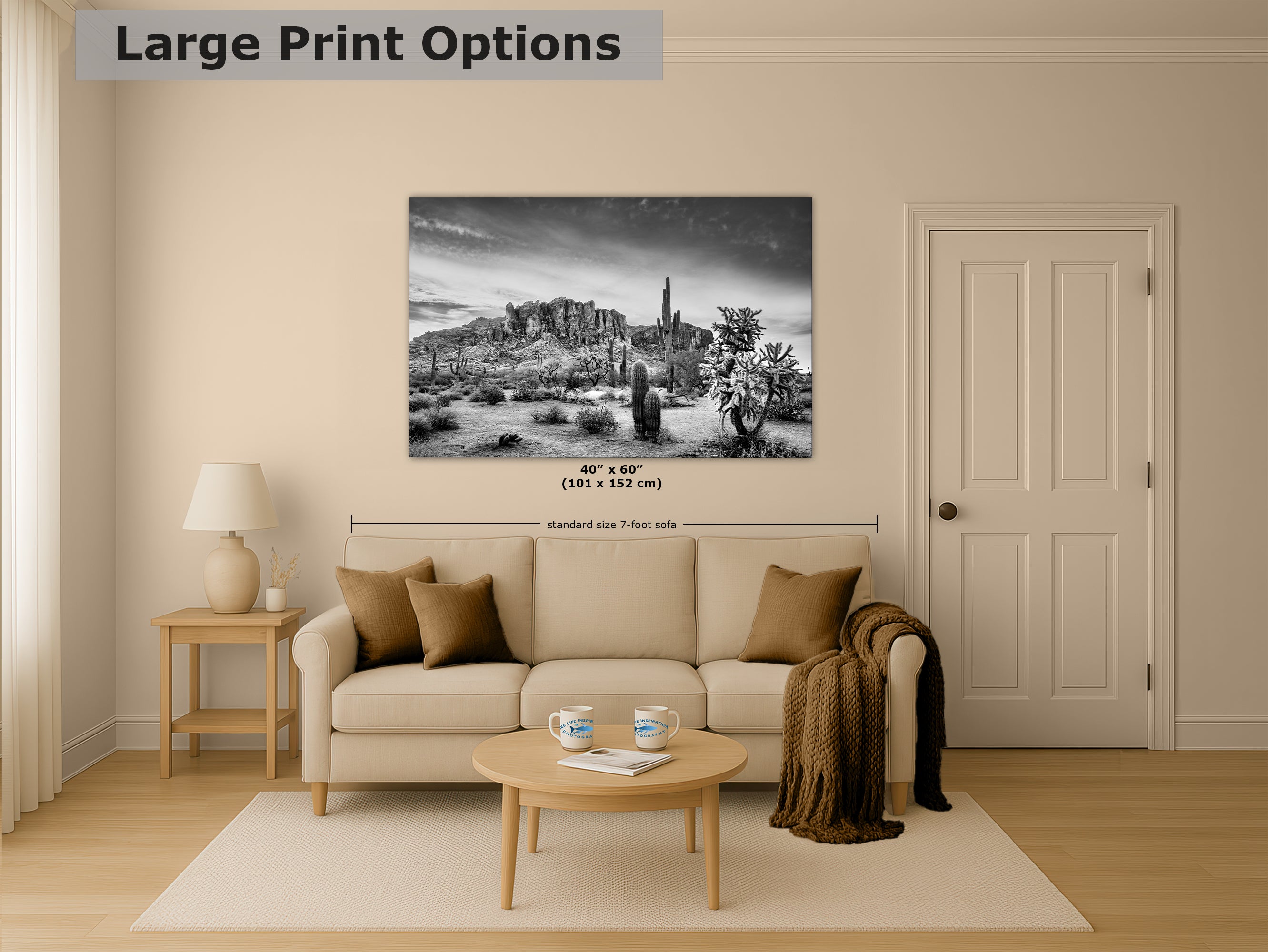 Arizona Desert Picture in Black and White, Saguaro Cactus Artwork Nature Photo, Southwestern Wall Art of Superstition Mountains at Lost Dutchman State Park