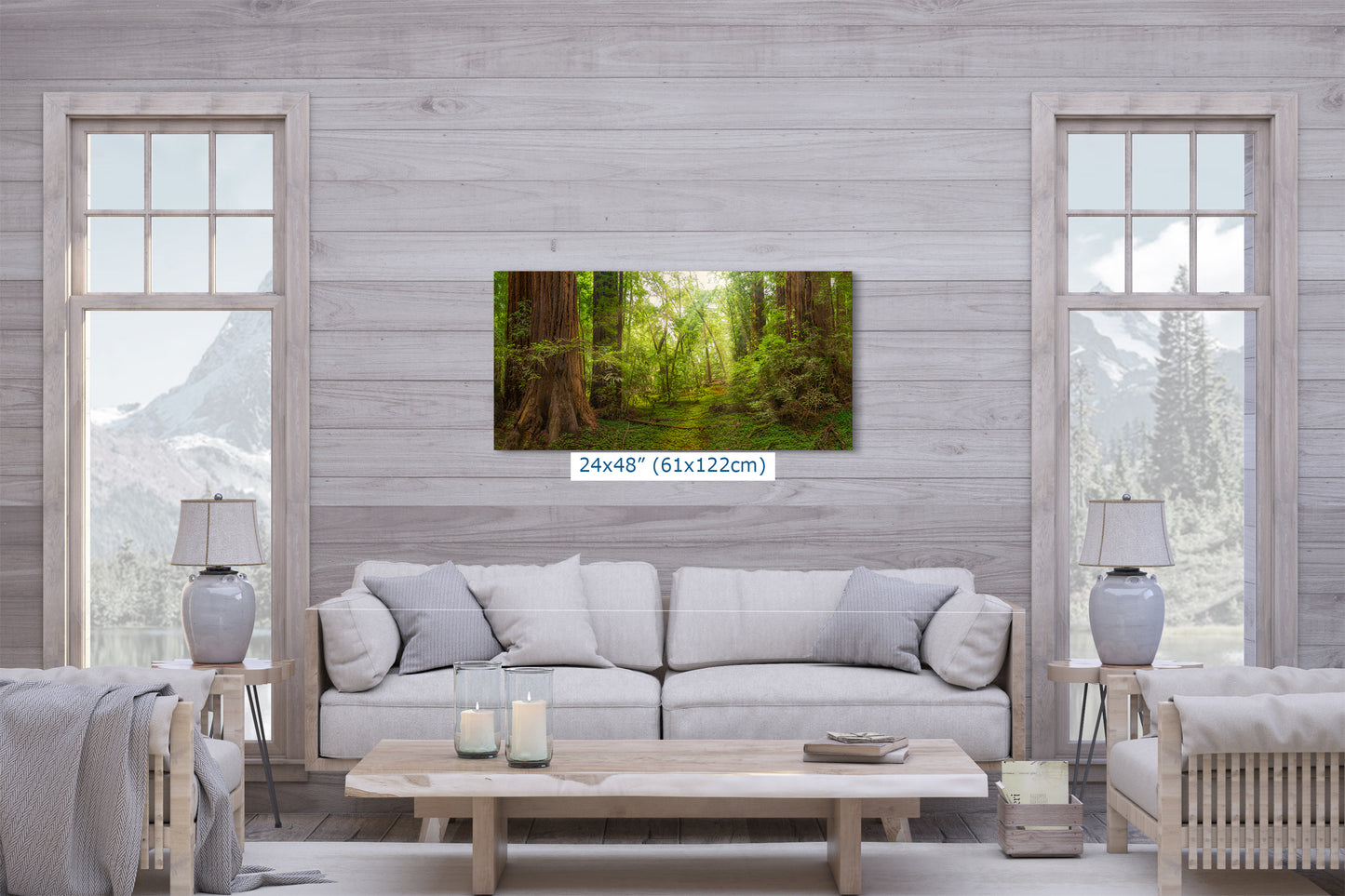Redwood Tree Wall Art - Panoramic Forest Picture Nature Photo