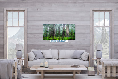 Redwood Trees Forest Picture Nature Photo, Forest Bathing in Misty California Redwoods Wall Art, for Relaxation in the Home and Office