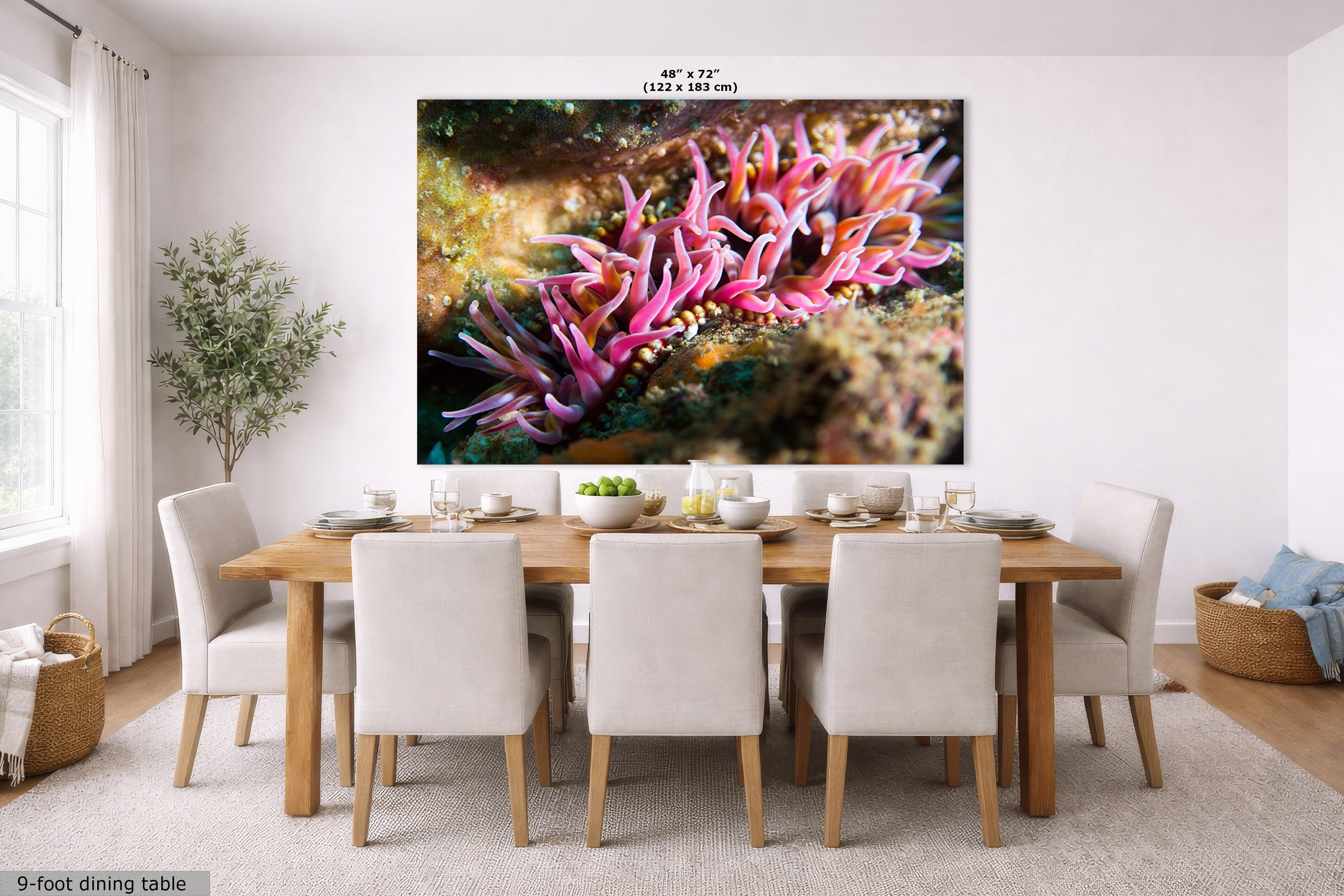 A large rectangular wall art print showing a close-up of pink sea anemones is displayed above a dining table in a bright, modern dining room. The print includes size text at the top reading 48" x 72" (122 x 183 cm).