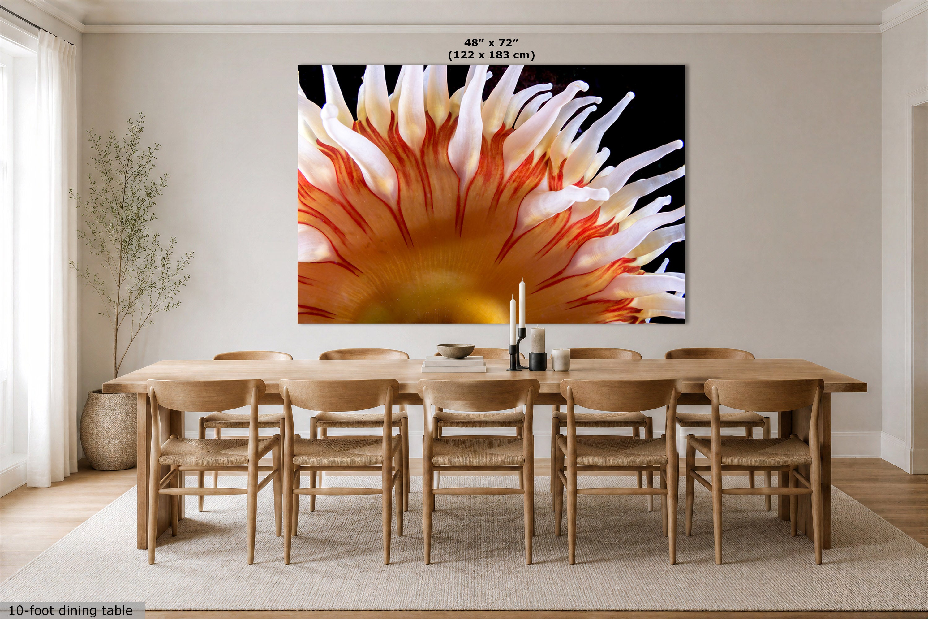 A large wall art print showing a close-up of a white, orange, and yellow anemone on a black background, displayed above a wooden dining table and chairs in a bright dining room. Text at the top reads 48" x 72" (122 x 183 cm).