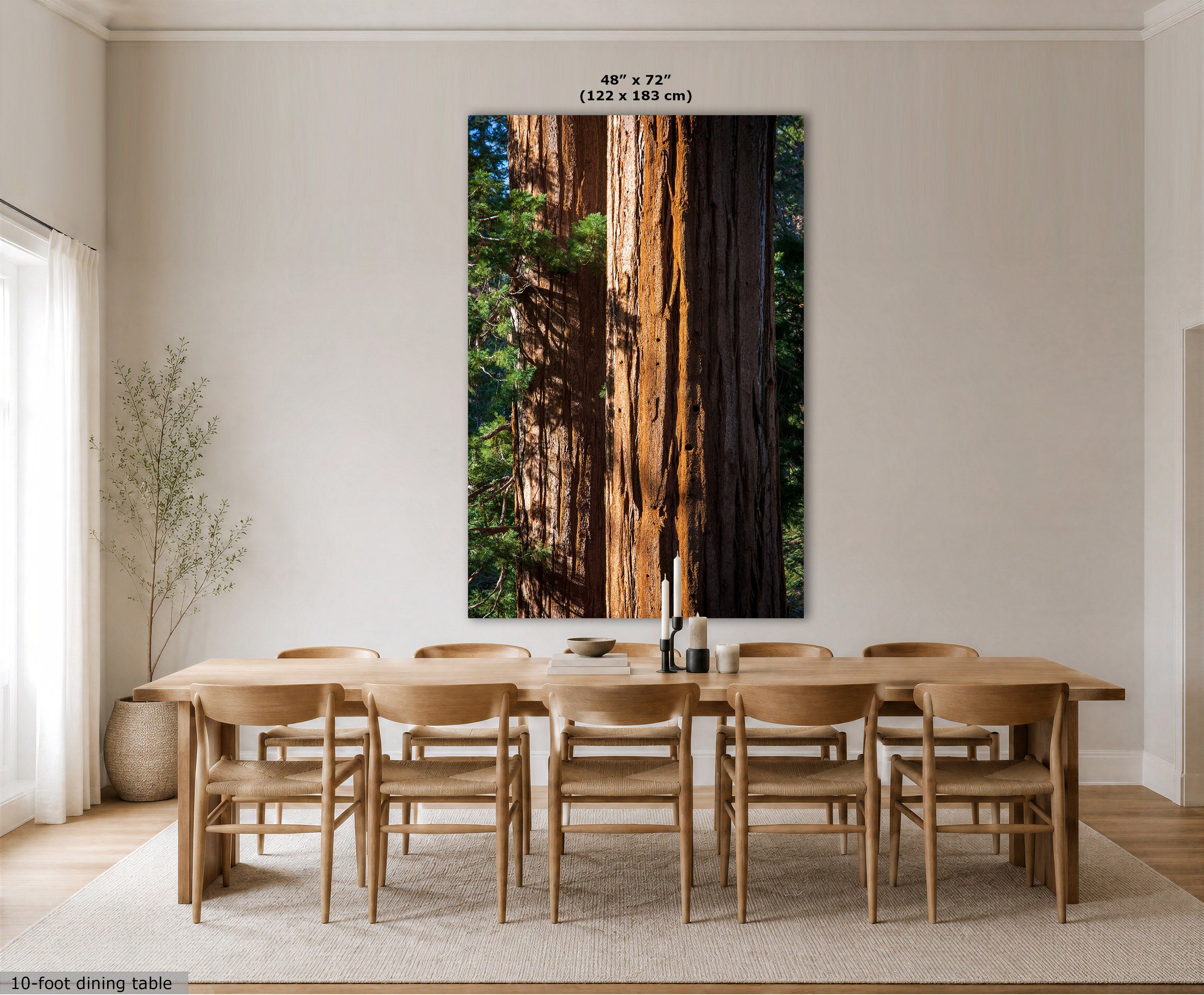 A large vertical wall art print depicting a close-up of a redwood tree trunk in a forest, displayed above a light wood dining table and chairs in a bright, modern dining room. The print has a small size label at the top reading 48" x 72" (122 x 183 cm).