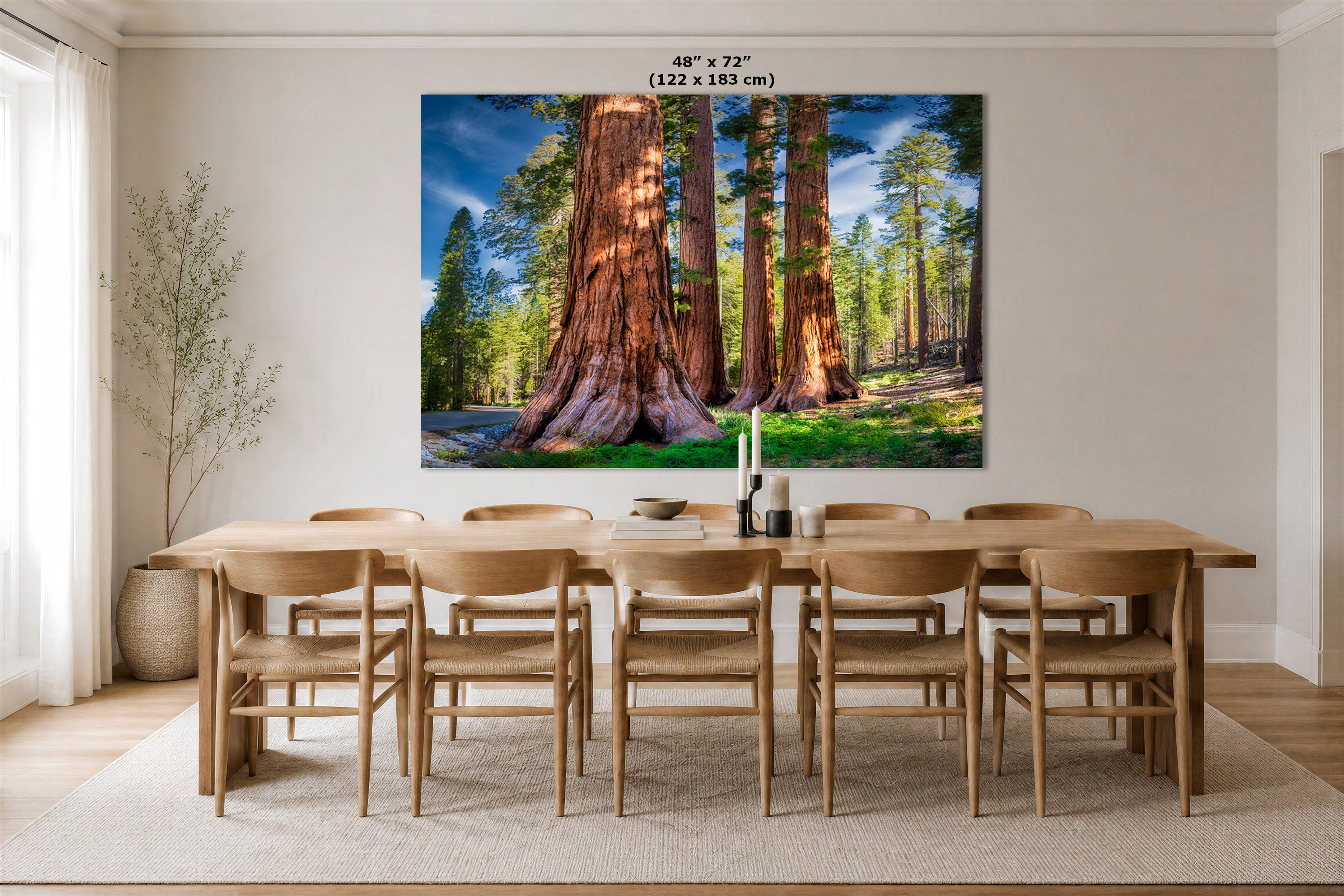 A large wall art print showing giant sequoia trees in a forest, displayed above a wooden dining table and chairs in a bright, modern dining room. The print has a small size label at the top reading 48" x 72" (122 x 183 cm).