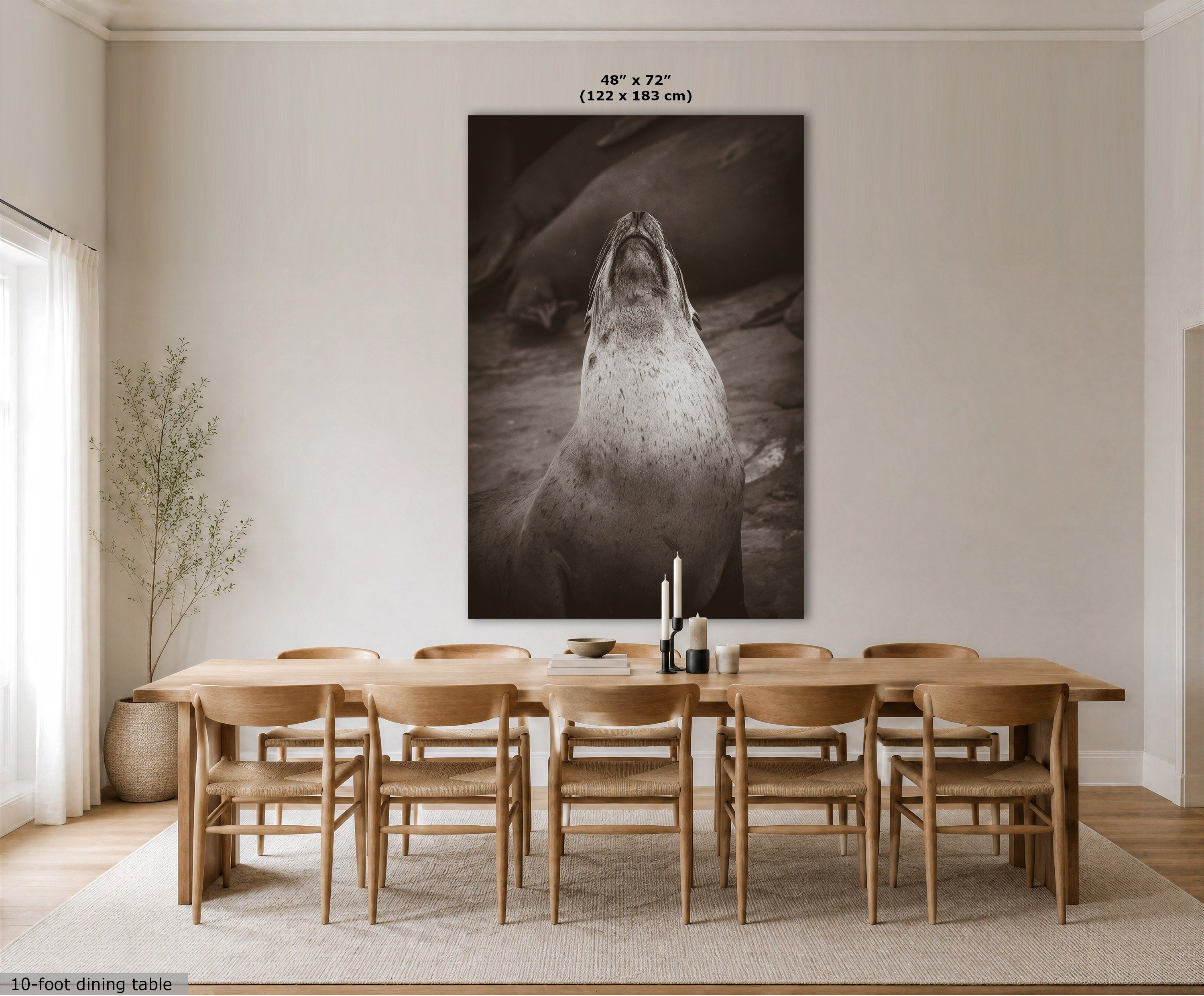 A large black and white wall art print of a seal or sea lion hanging above a wooden dining table and chairs in a bright, modern dining room. The print includes size text at the top, and the room scene is shown as a styled interior mockup.