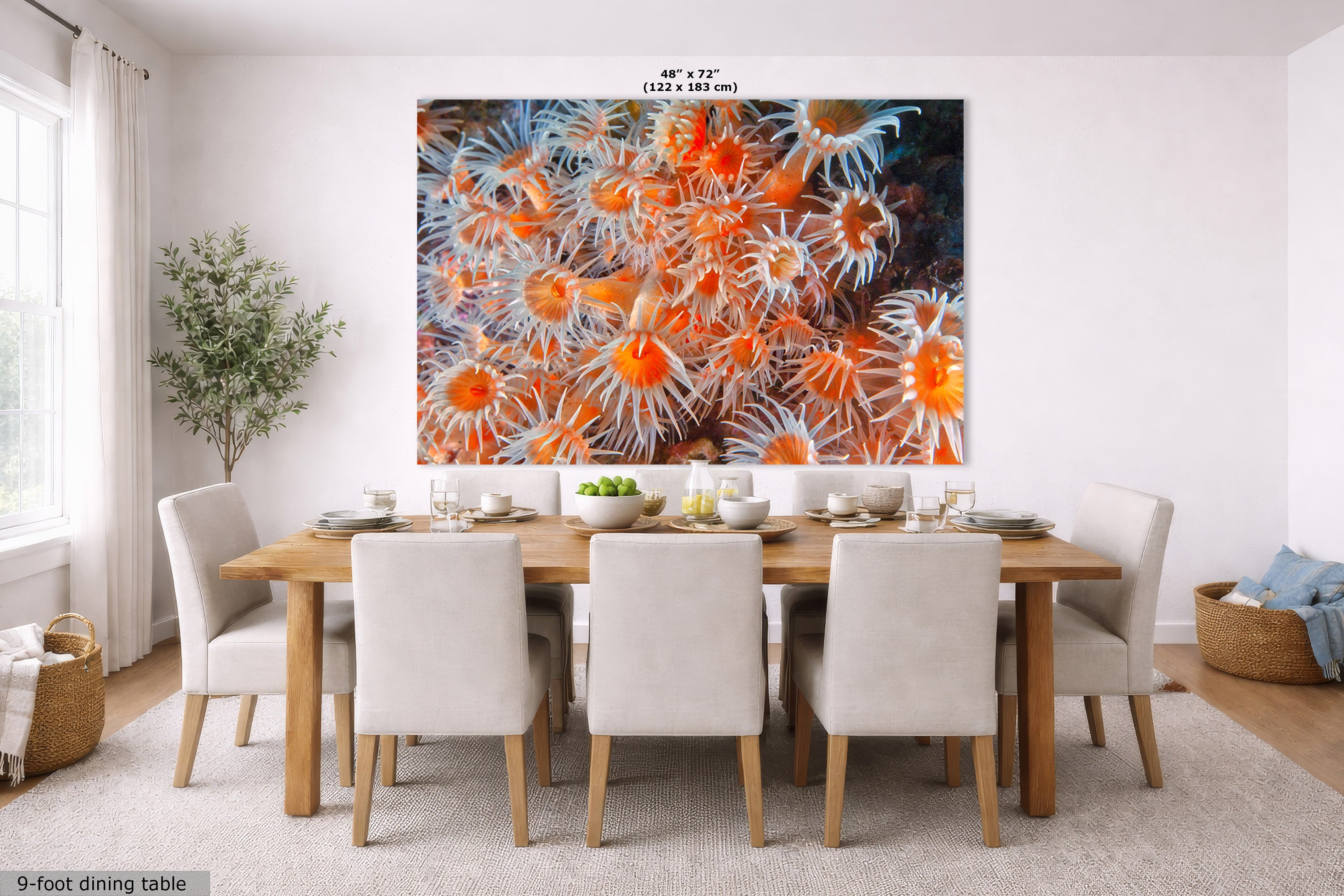 A large wall art print depicting a close-up of orange and white sea anemones on a dark background, displayed in a modern dining room setting above a wooden dining table and chairs. The dimensions '48" x 72"' are printed at the top of the artwork.