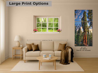 Giant Sequoia Tree Art, Redwood Forest Picture, Nature Photo Inspired Wall Decor