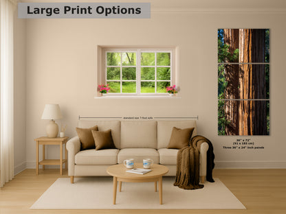 Giant Sequoia Tree Forest Picture Nature Photo, Redwood Trees Wall Art, Forest Bathing National Park Poster, Relaxation Decor