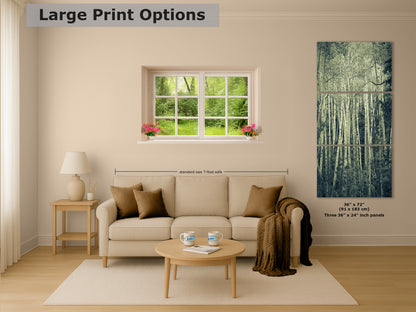 Aspen Tree Forest Picture Nature Photo, Forest Bathing Relaxation Artwork, Rustic Wall Art for Bedroom, Office, & House Decor