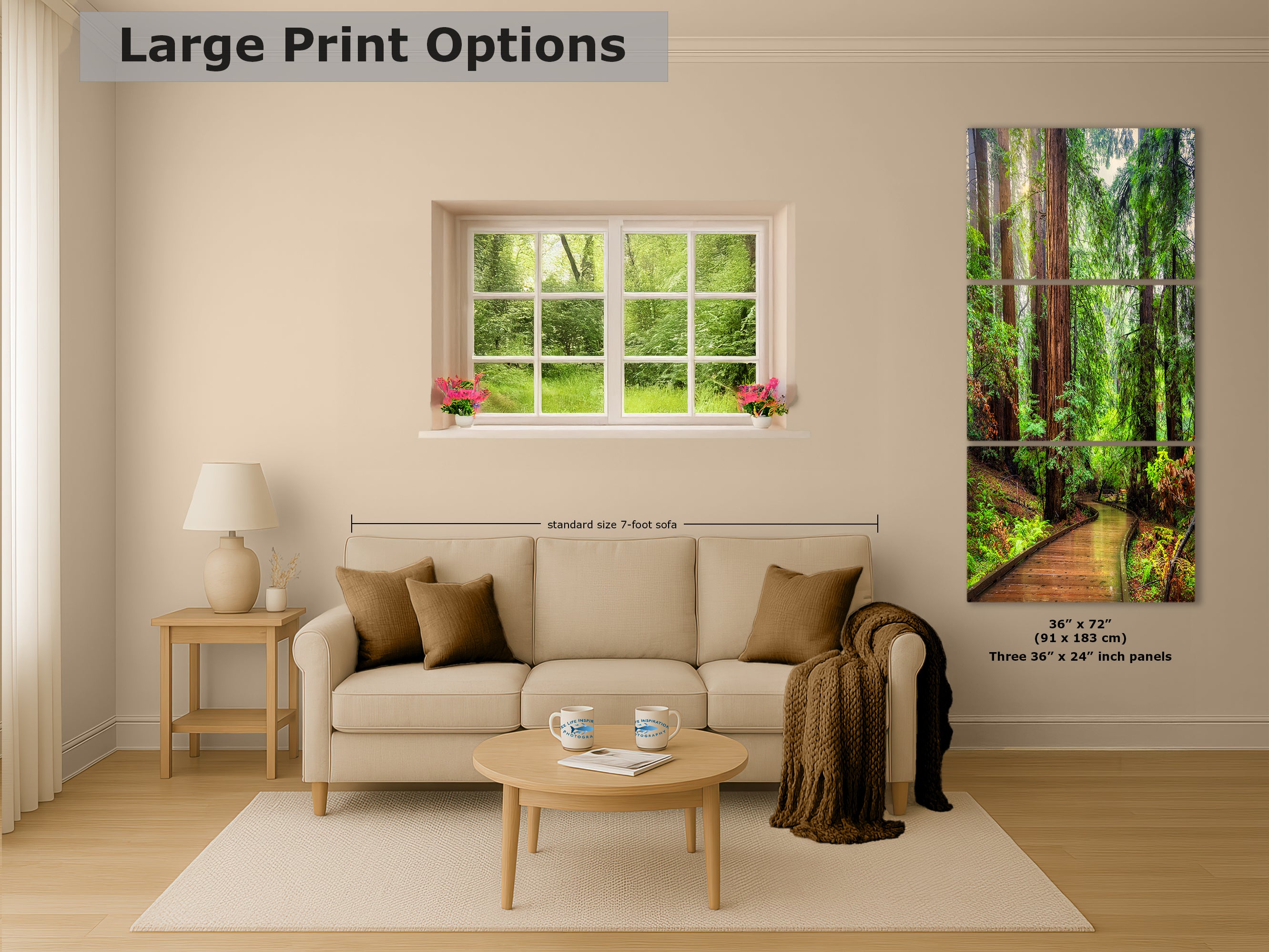 Redwood Trees Forest Picture Sunrise Nature Photo, Forest Bathing House Decor, Relaxing Wall Art for Meditation, Home and Office