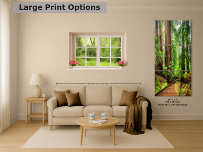 Redwood Trees Forest Picture Sunrise Nature Photo, Forest Bathing House Decor, Relaxing Wall Art for Meditation, Home and Office