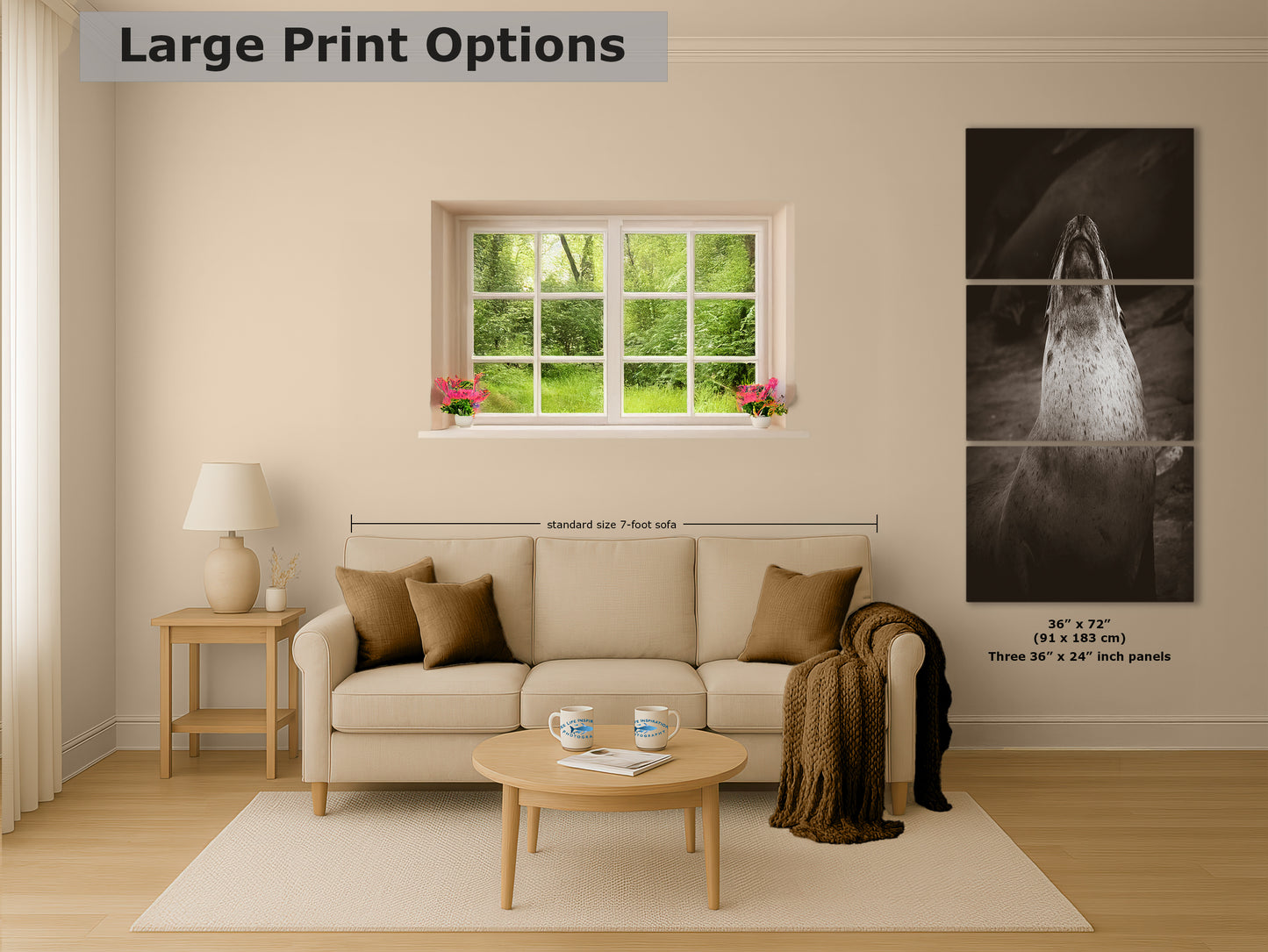 California Sea Lion Marine Mammal Wildlife Photography, Ocean Animals, Coastal House Decor, Nature Lover Gift, Marine Biology Artwork