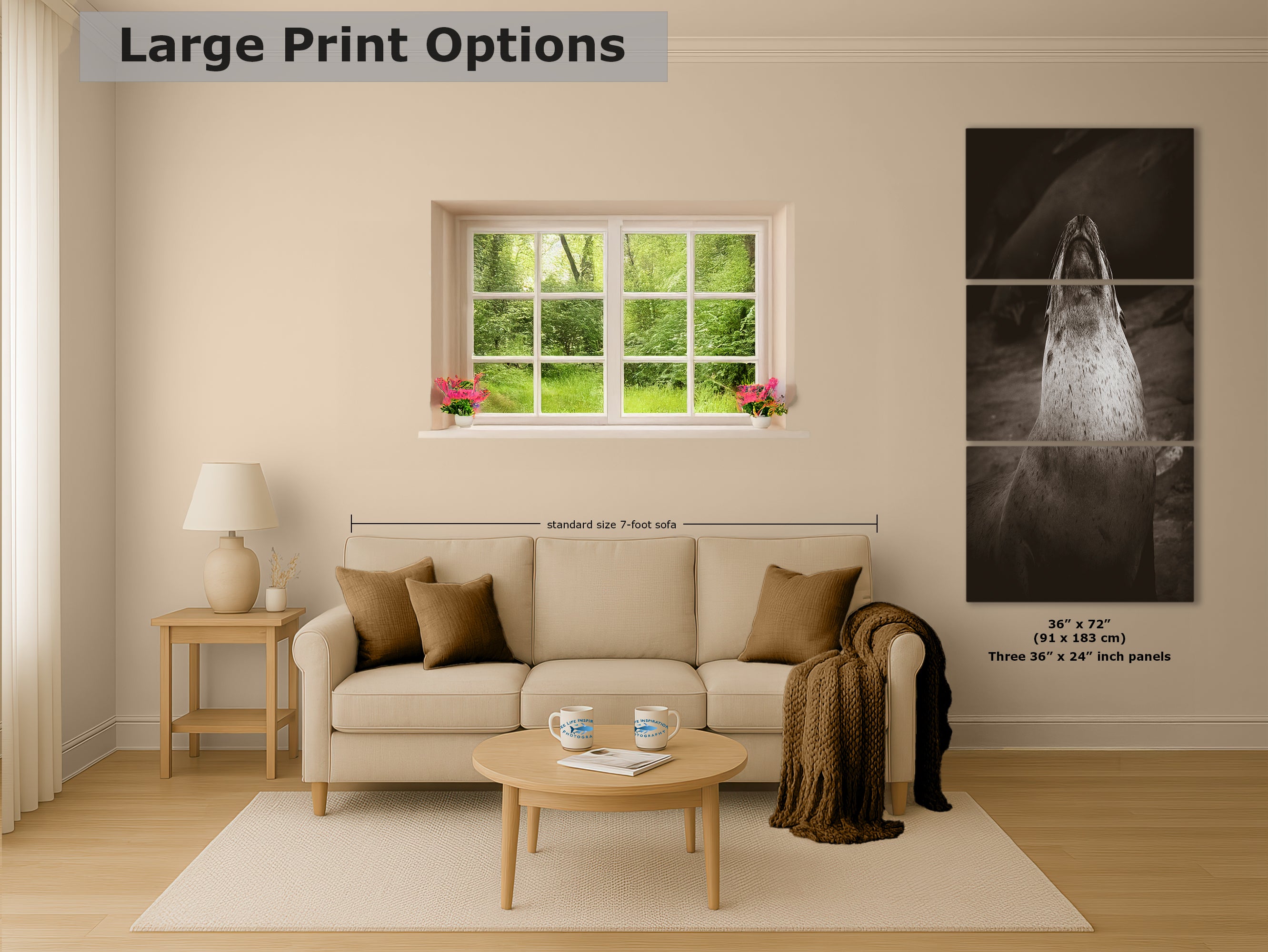 California Sea Lion Marine Mammal Wildlife Photography, Ocean Animals, Coastal House Decor, Nature Lover Gift, Marine Biology Artwork