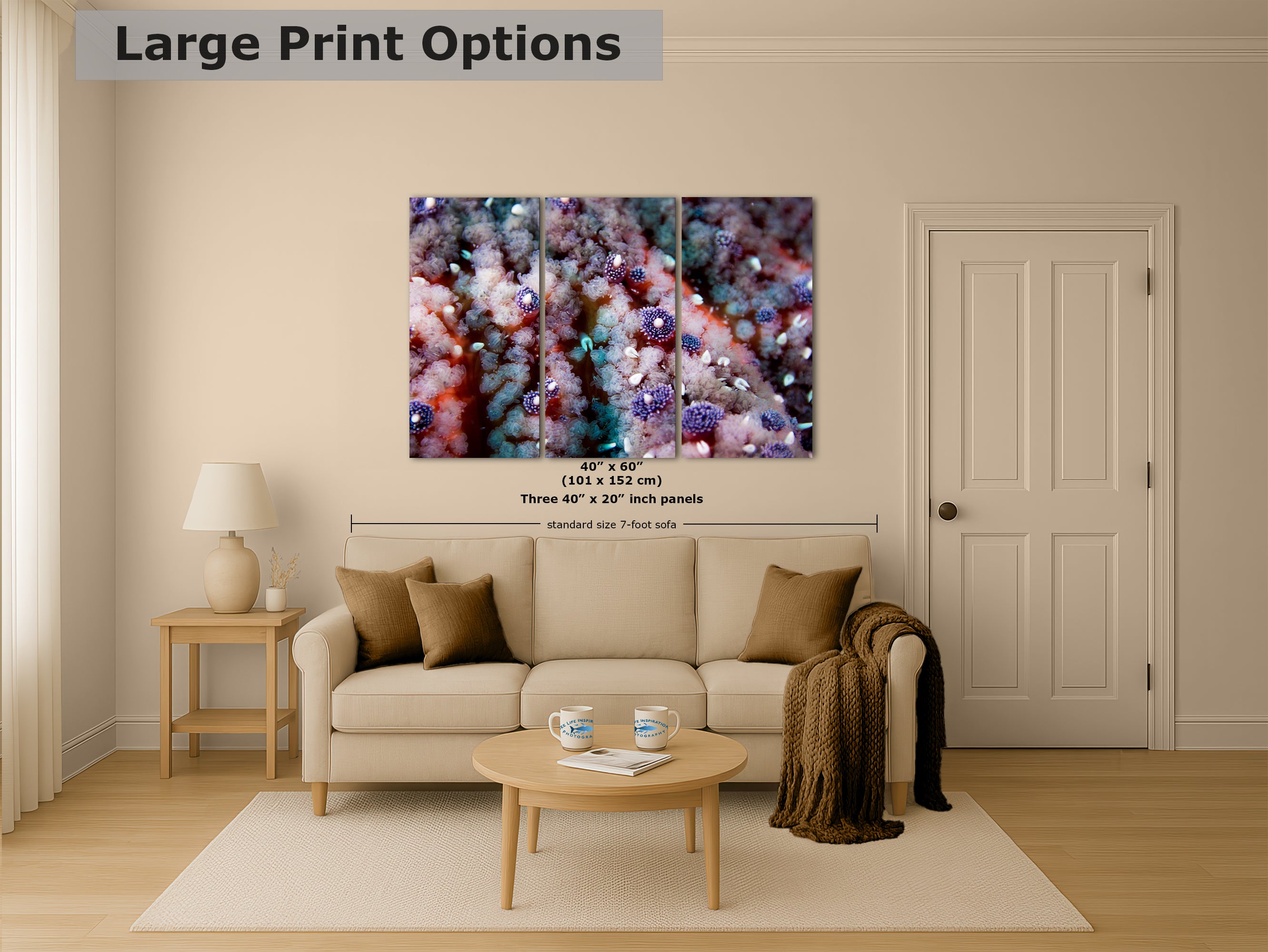 Ocean Life Starfish Photo, Marine Biology Underwater Scenery, Vibrant Coral Reef, Nature Photography for Office Decor, Relaxation Artwork