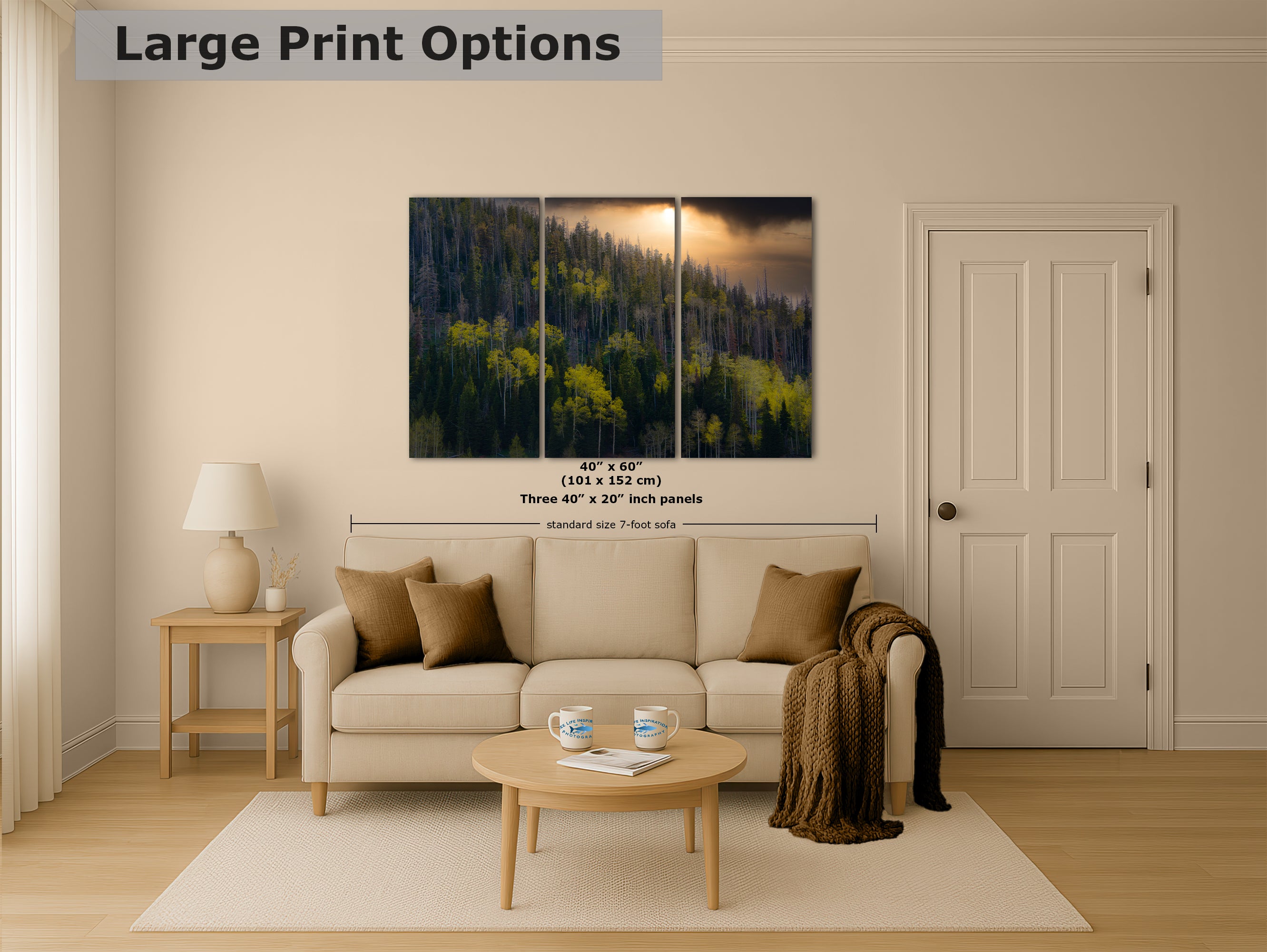 Aspen Tree Forest Picture Nature Photo, Forest Bathing Relaxation Artwork Dopamine Decor for Meditation, Bedroom, Living Room, and Office