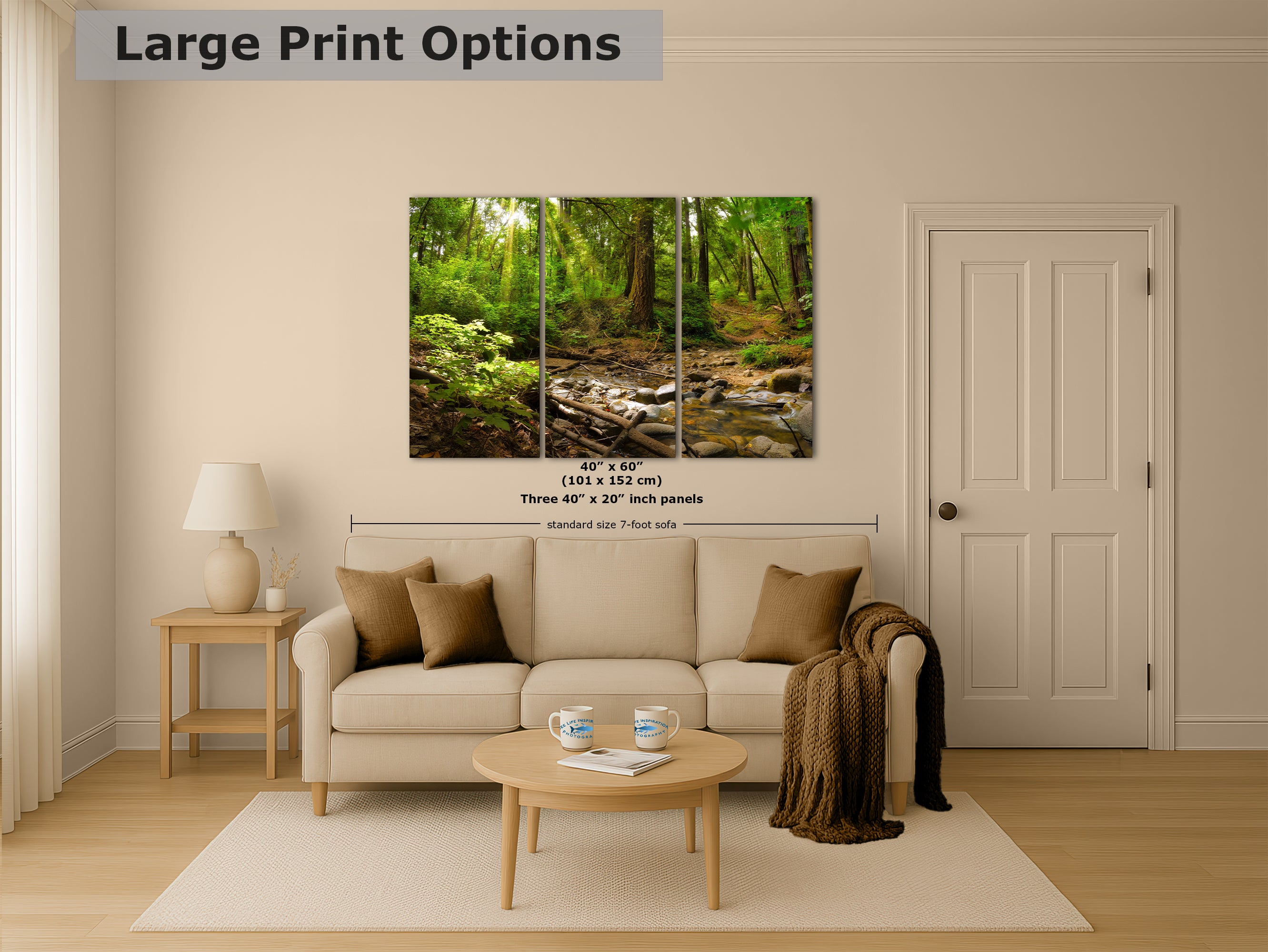 Redwood Trees Forest Picture Nature Photo, Forest Bathing in Santa Cruz California Coast Wall Art, Relaxing Artwork for House Decor & Office