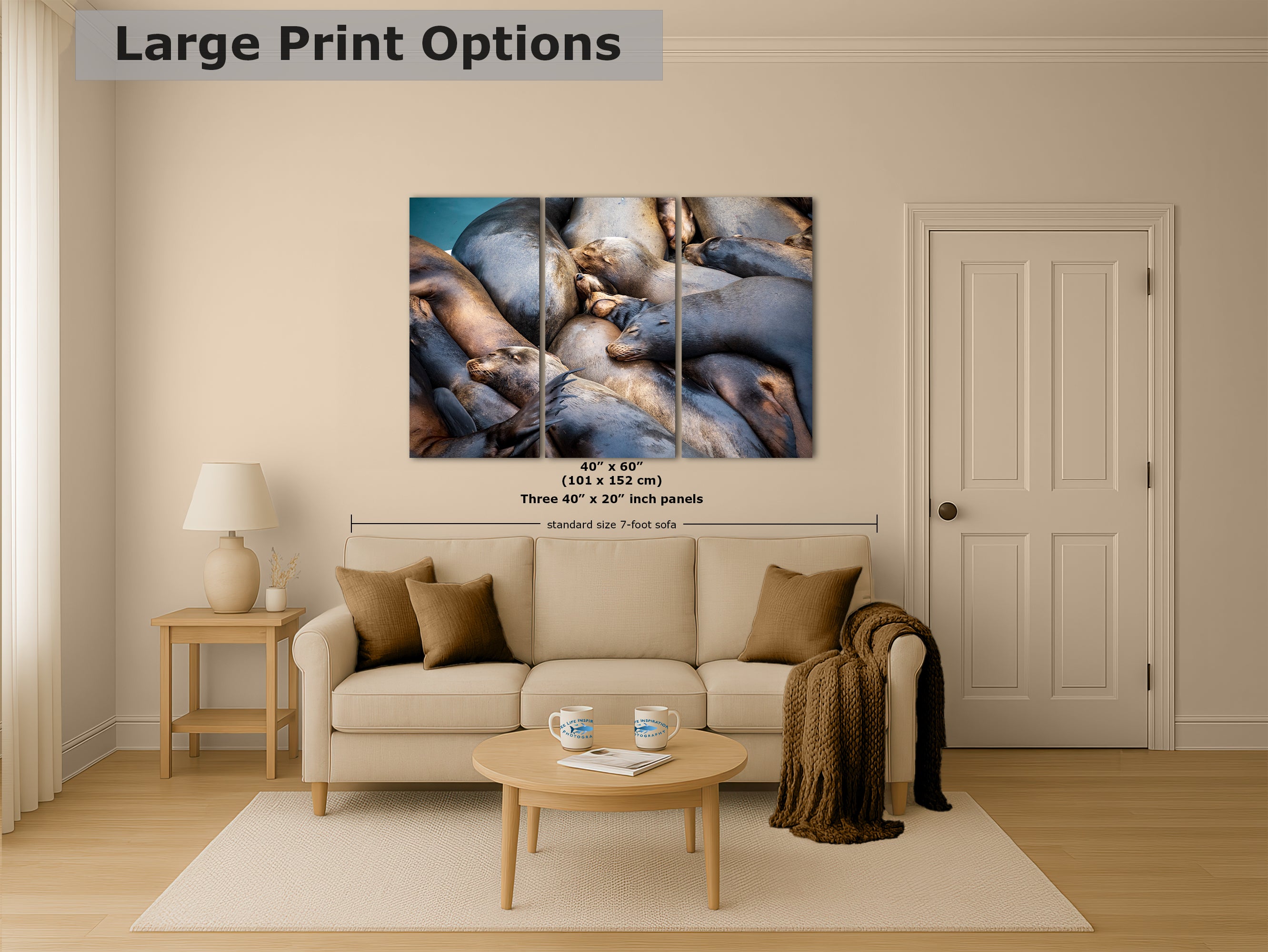 California Sea Lion Marine Mammal Wildlife Photography Wall Art - Ocean Animals Nursery Decor Coastal Home Artwork, Marine Biology Print