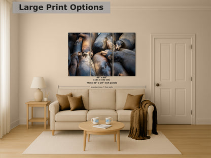 California Sea Lion Marine Mammal Wildlife Photography, Ocean Animals Nursery Decor, Relaxation Artwork for Beach-Themed Rooms