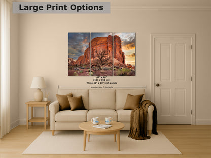 Monument Valley Arizona Desert Picture Cactus Nature Photo, Bohemian Style Relaxation Artwork for Meditation, Apartment, Office & House Decor