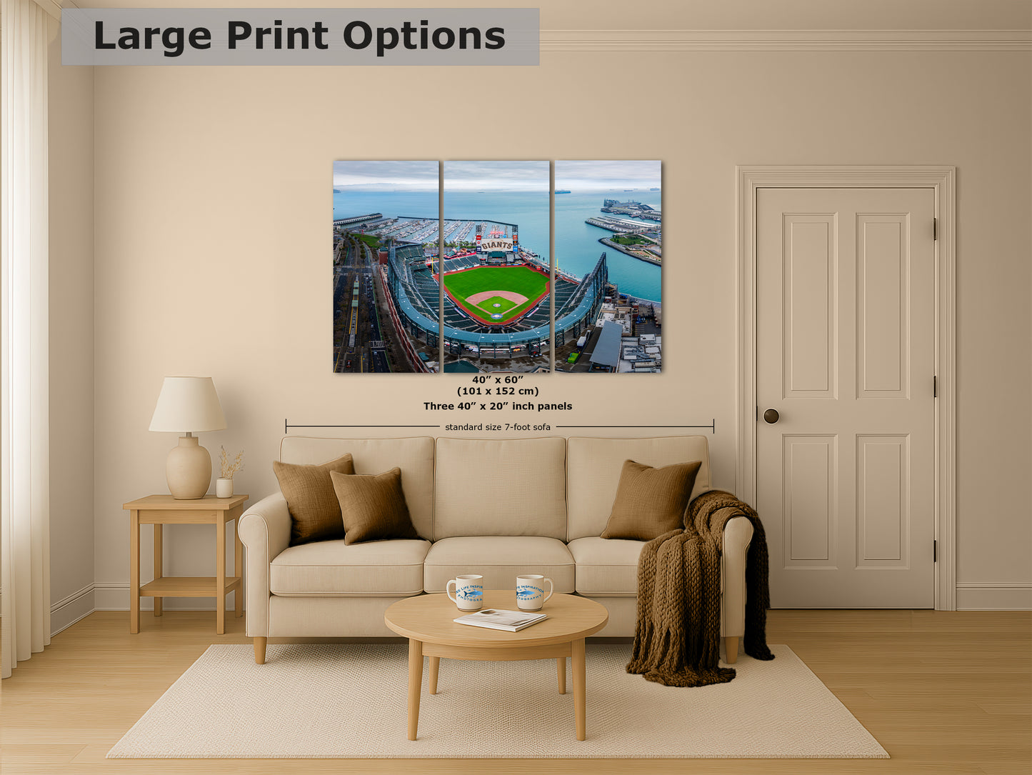 San Francisco Giants Baseball Stadium, Oracle Park Canvas Print