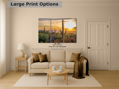 Saguaro National Park Arizona Desert Picture Sunset Nature Photo, Bohemian Style Relaxation Artwork, Southwestern Sonoran Desert House Decor