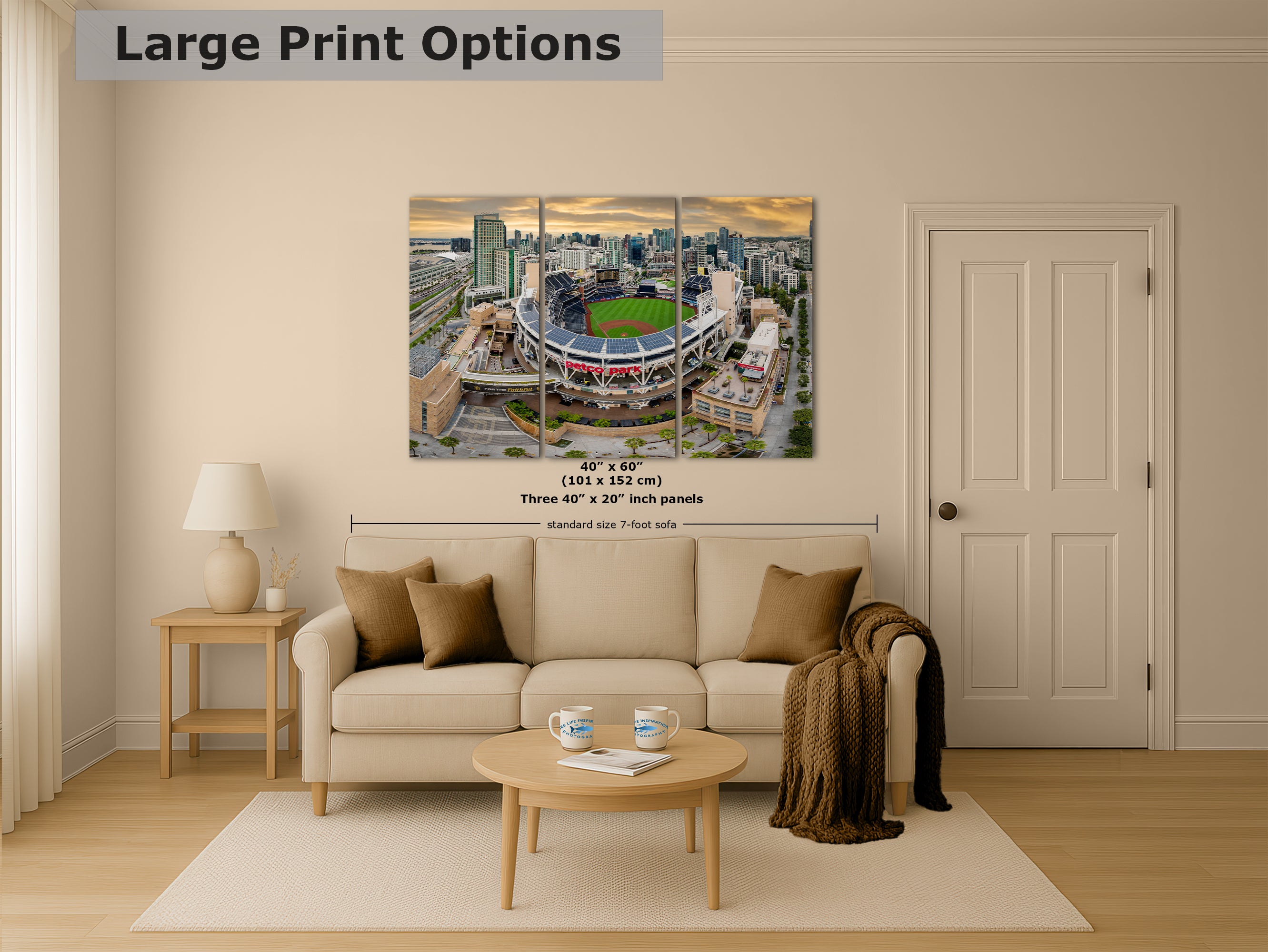 San Diego Padres Baseball Stadium Petco Park Canvas Print