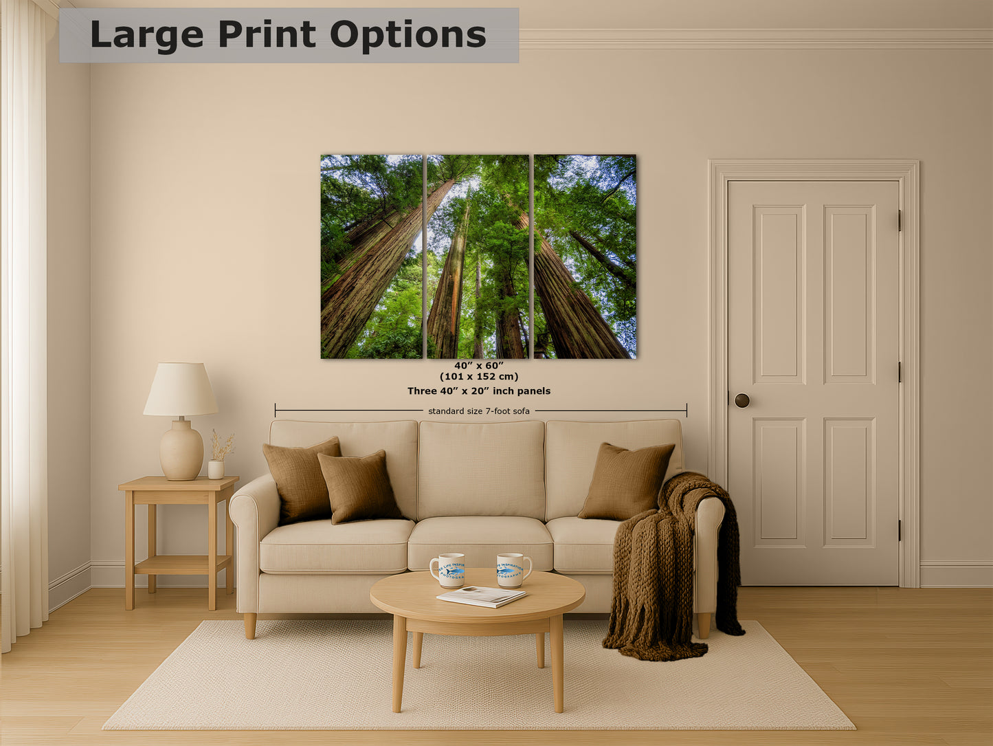 Redwood Trees Forest Picture Nature Photo | Forest Bathing Relaxation Decor for Meditation, House, and Office