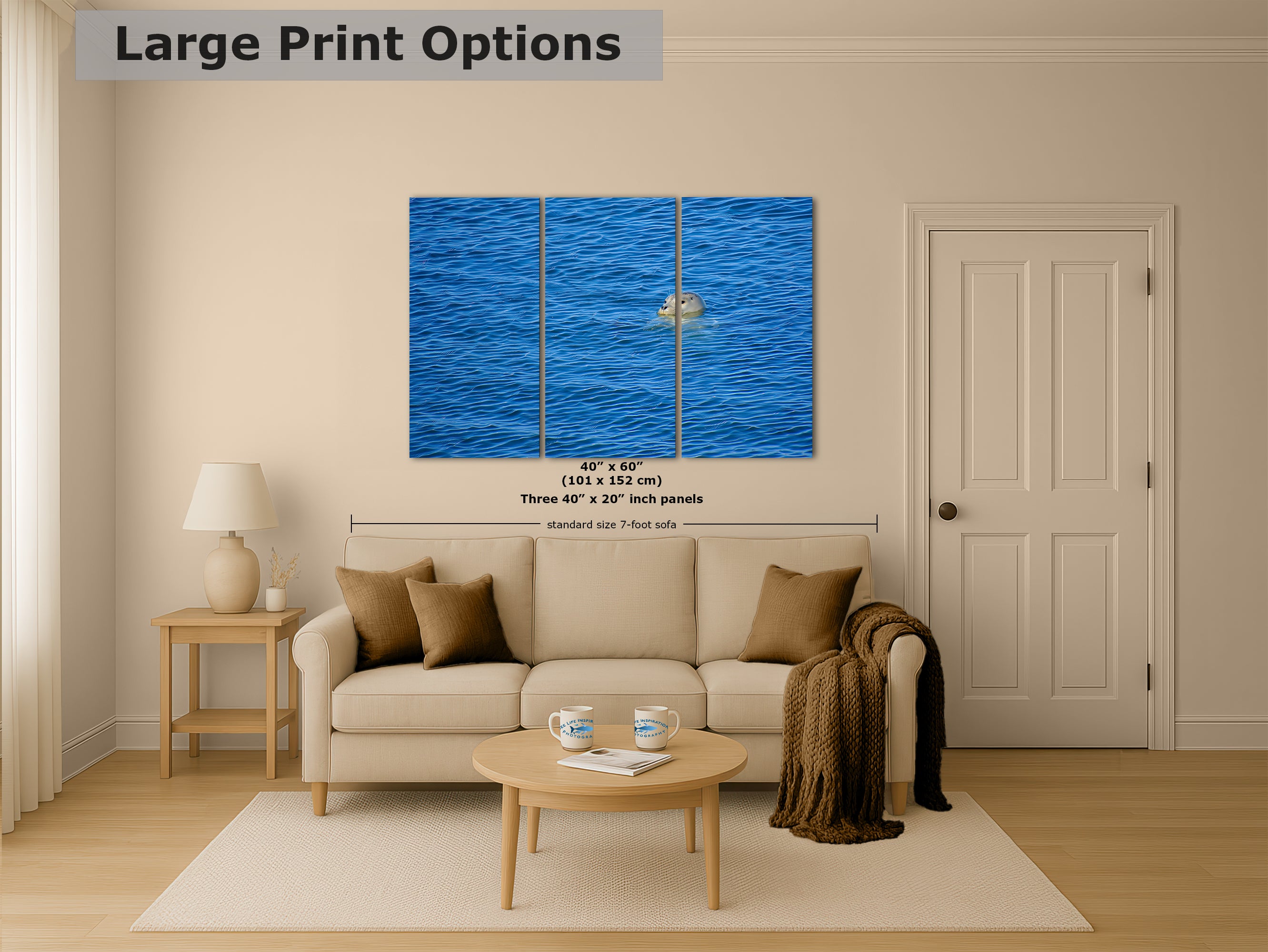 Seal Print Marine Mammal Wildlife Photography, Ocean Picture Relaxation Artwork Nature Photo