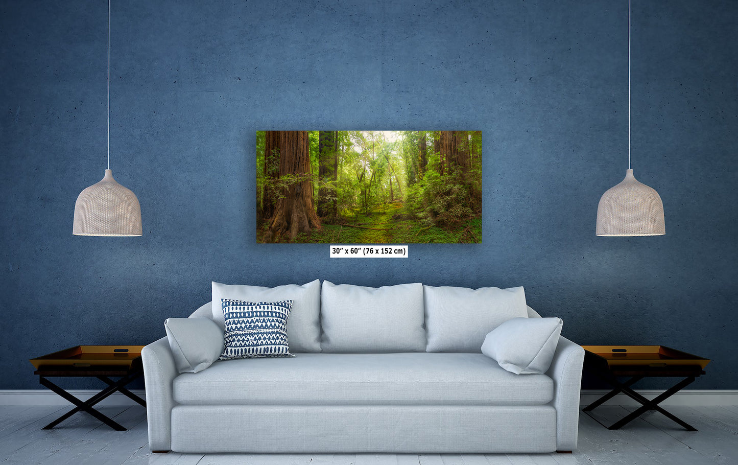 Redwood Tree Wall Art - Panoramic Forest Picture Nature Photo