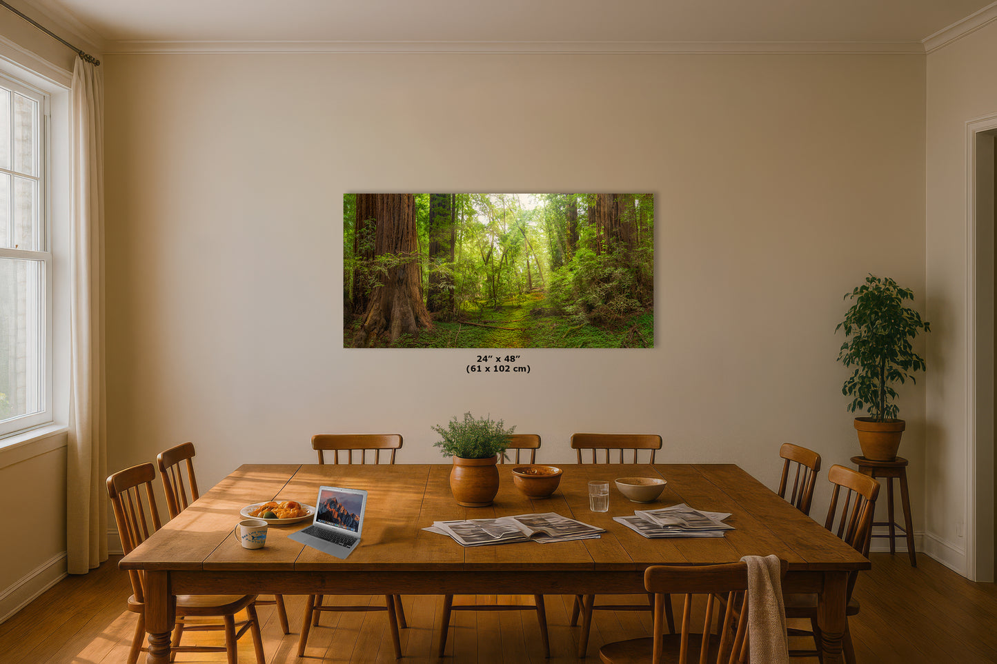 Redwood Tree Wall Art - Panoramic Forest Picture Nature Photo