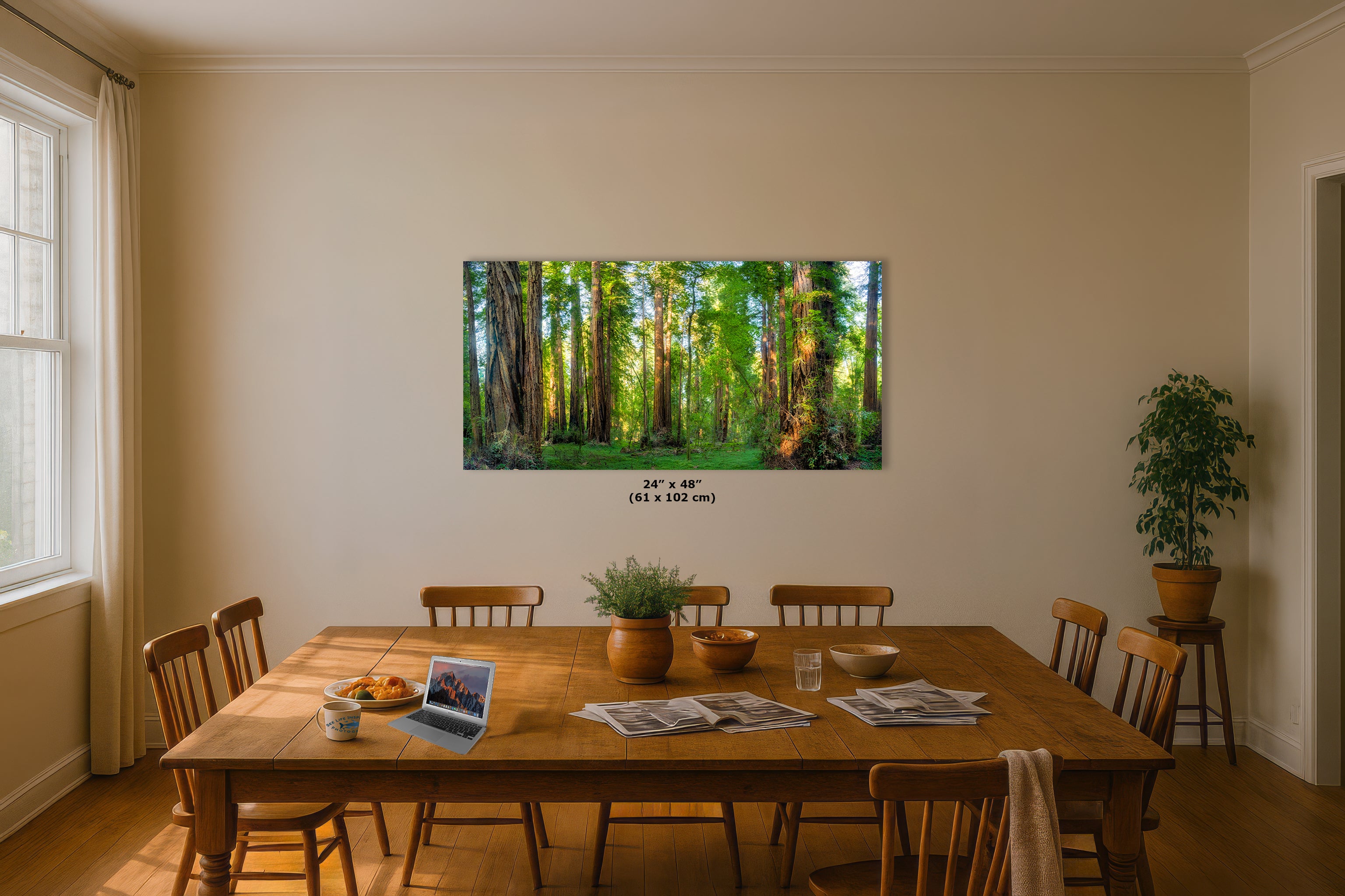 Redwood Trees Forest Picture Nature Photo, Forest Bathing Relaxation Artwork for Calming Meditation, Office and House Decor