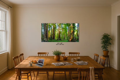 Redwood Trees Forest Picture Nature Photo, Forest Bathing Relaxation Artwork for Calming Meditation, Office and House Decor