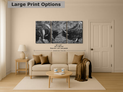 Buffalo Artwork Wildlife Photography, Black and White Bison Wall Decor, Rustic Cabin Animal Print, Nature Wall Art for Home or Office