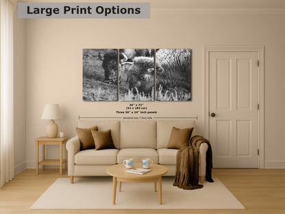 Grazing Buffalo Artwork Wildlife Photography, Black and White Bison Wall Decor, Rustic Cabin Animal Print, Nature Wall Art for Home or Office