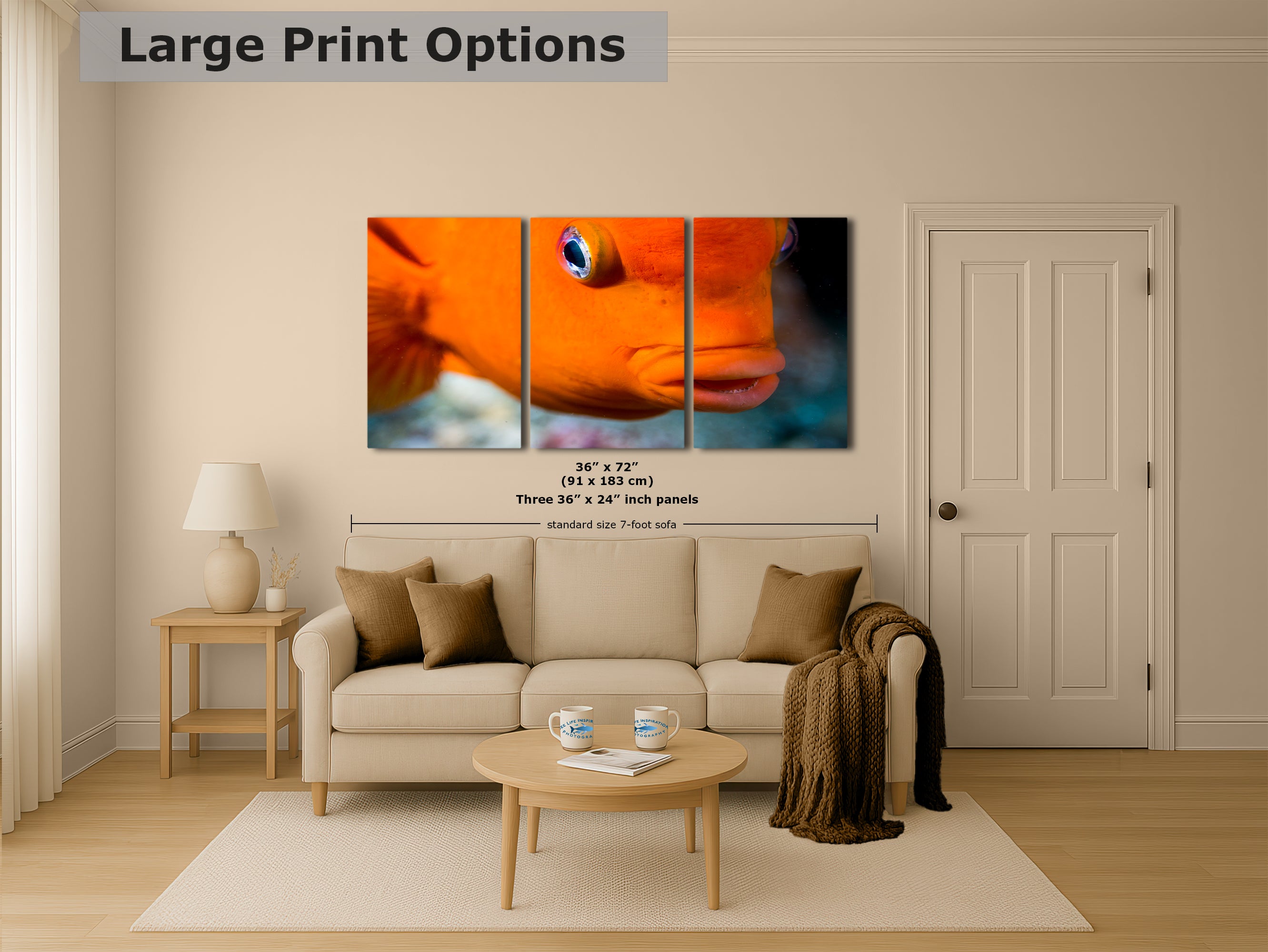 Garibaldi Fish Marine Biology Ocean Life, Underwater Scenery Nature Photo, California Marine Inhabitant, Nature Decor, Relaxation Artwork