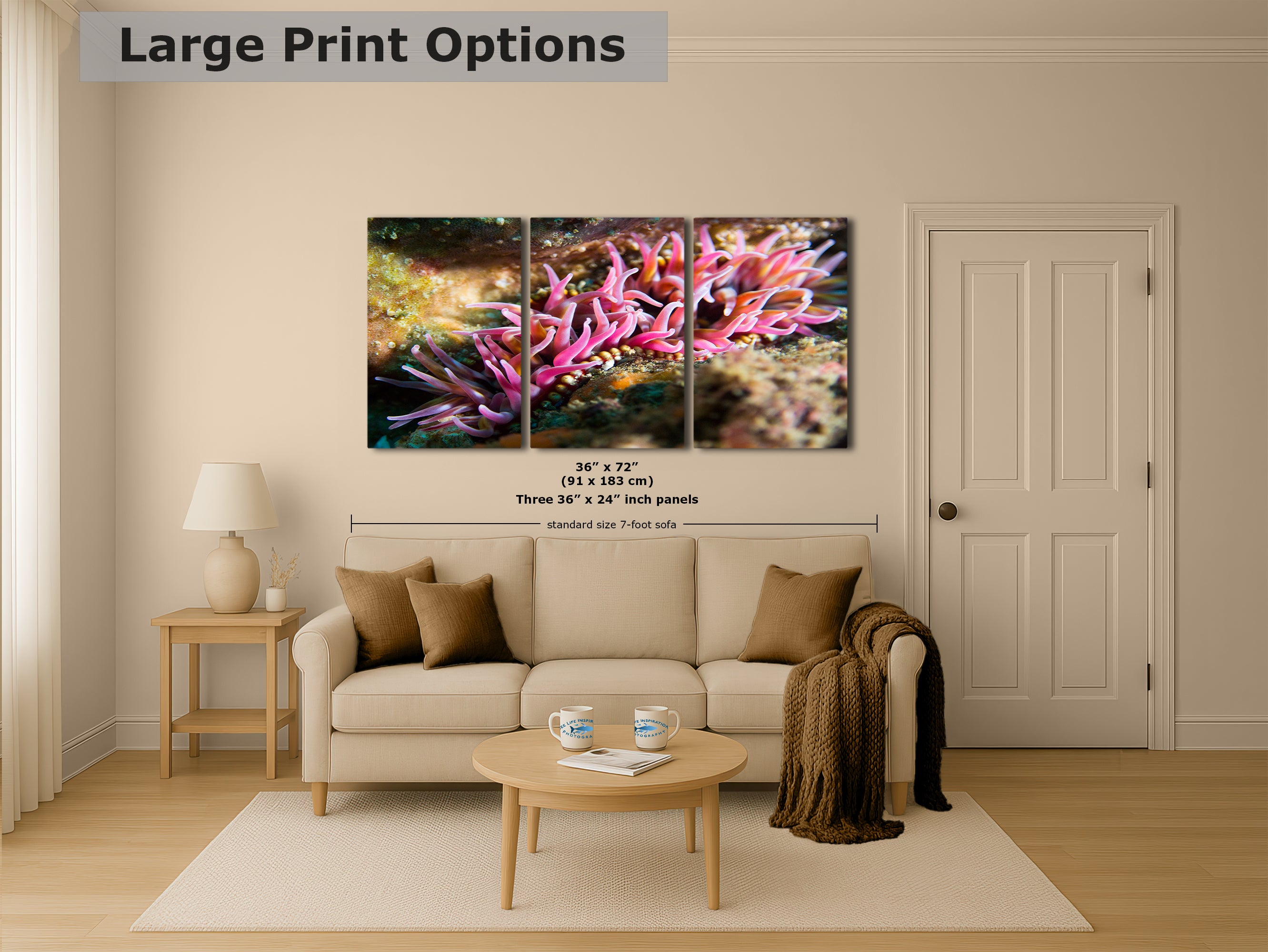 Sea Anemone Picture Ocean Life Underwater Scenery Nature Photo, Marine Biology Coral Reef Art, Vibrant Marine Wildlife Wall Decor