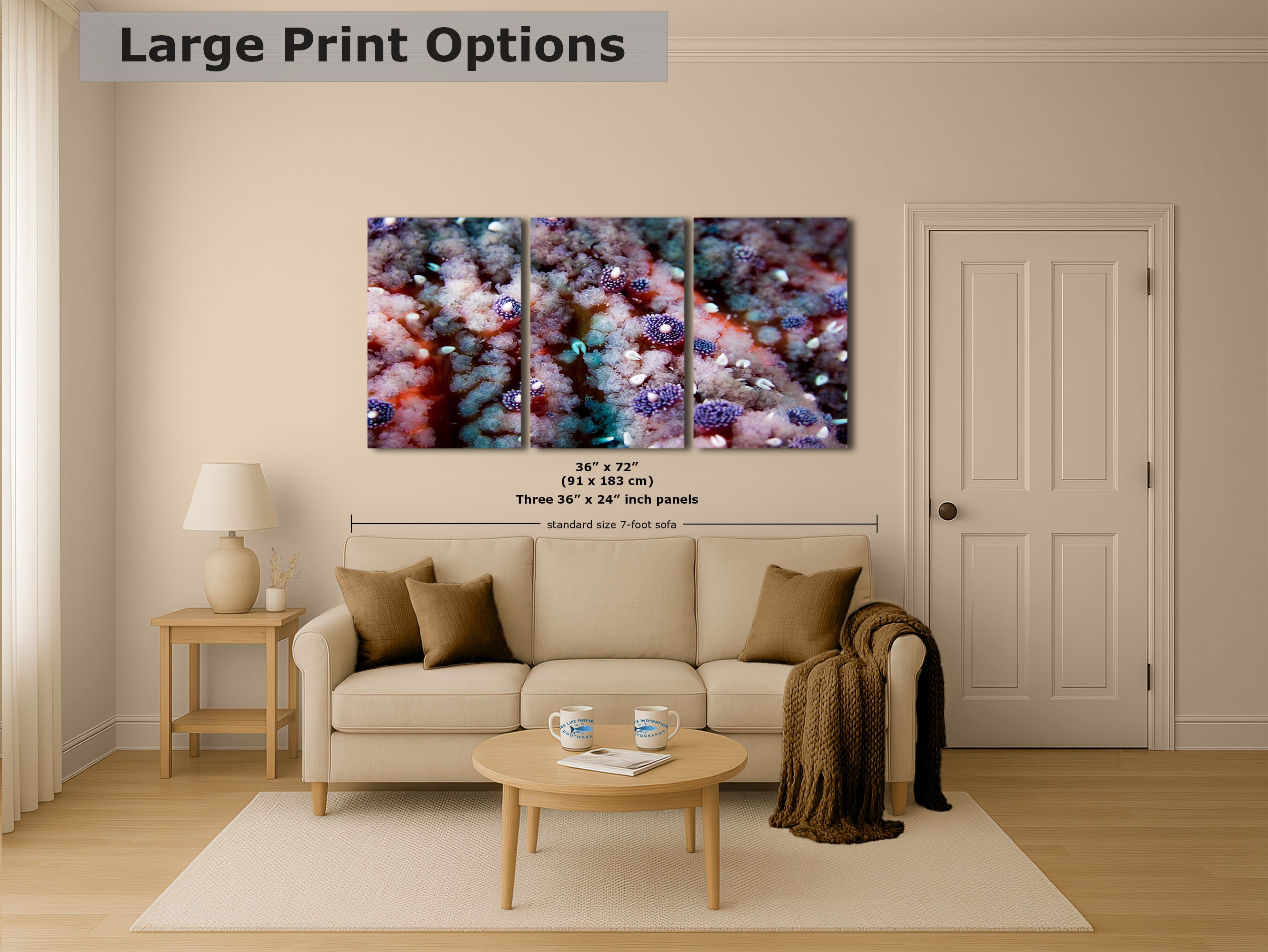 Ocean Life Starfish Photo, Marine Biology Underwater Scenery, Vibrant Coral Reef, Nature Photography for Office Decor, Relaxation Artwork