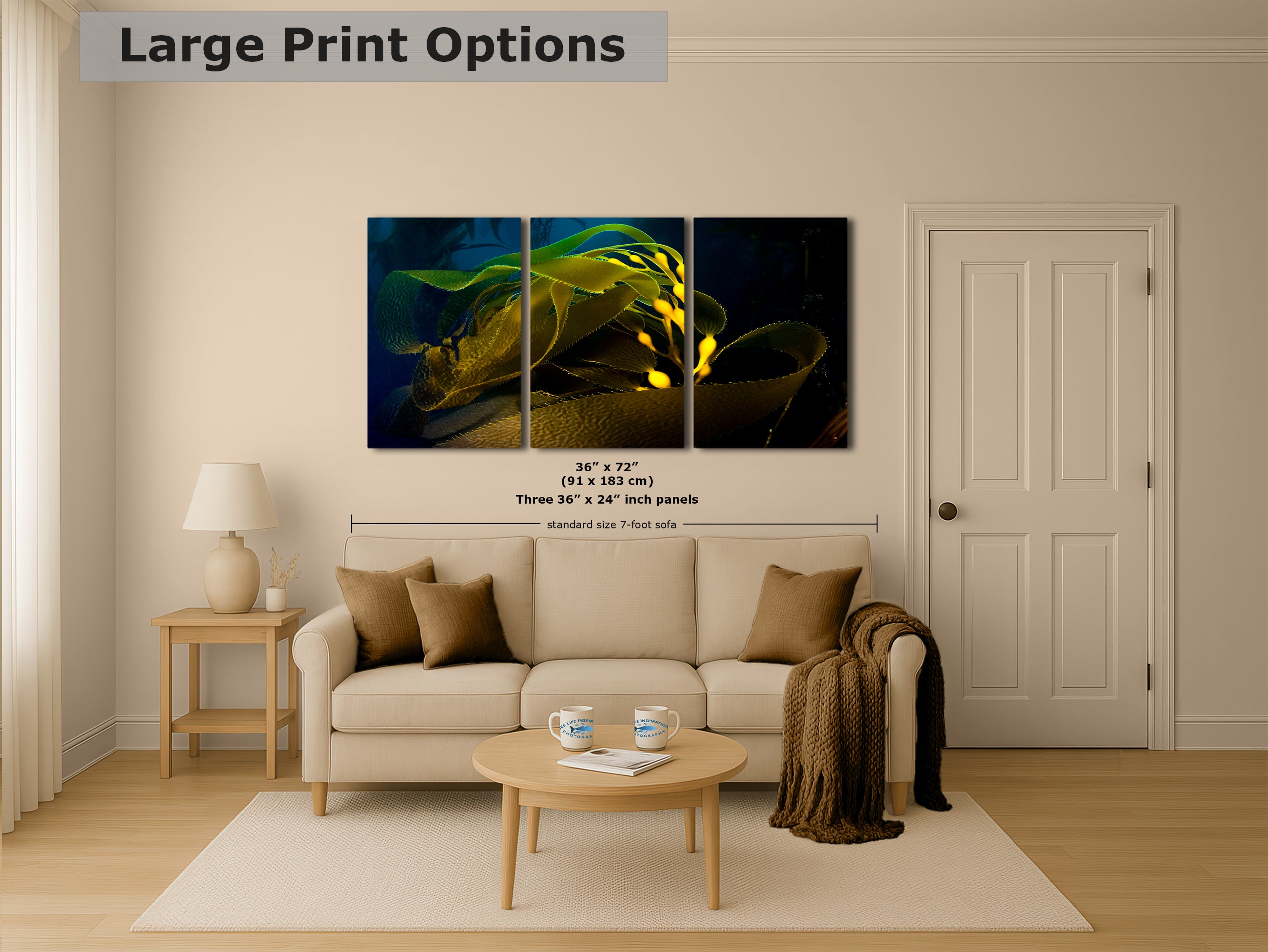 Kelp forest seaweed pictures underwater scenery, ocean life marine biology art, relaxation decor, ocean lover gift, deep sea nature photo