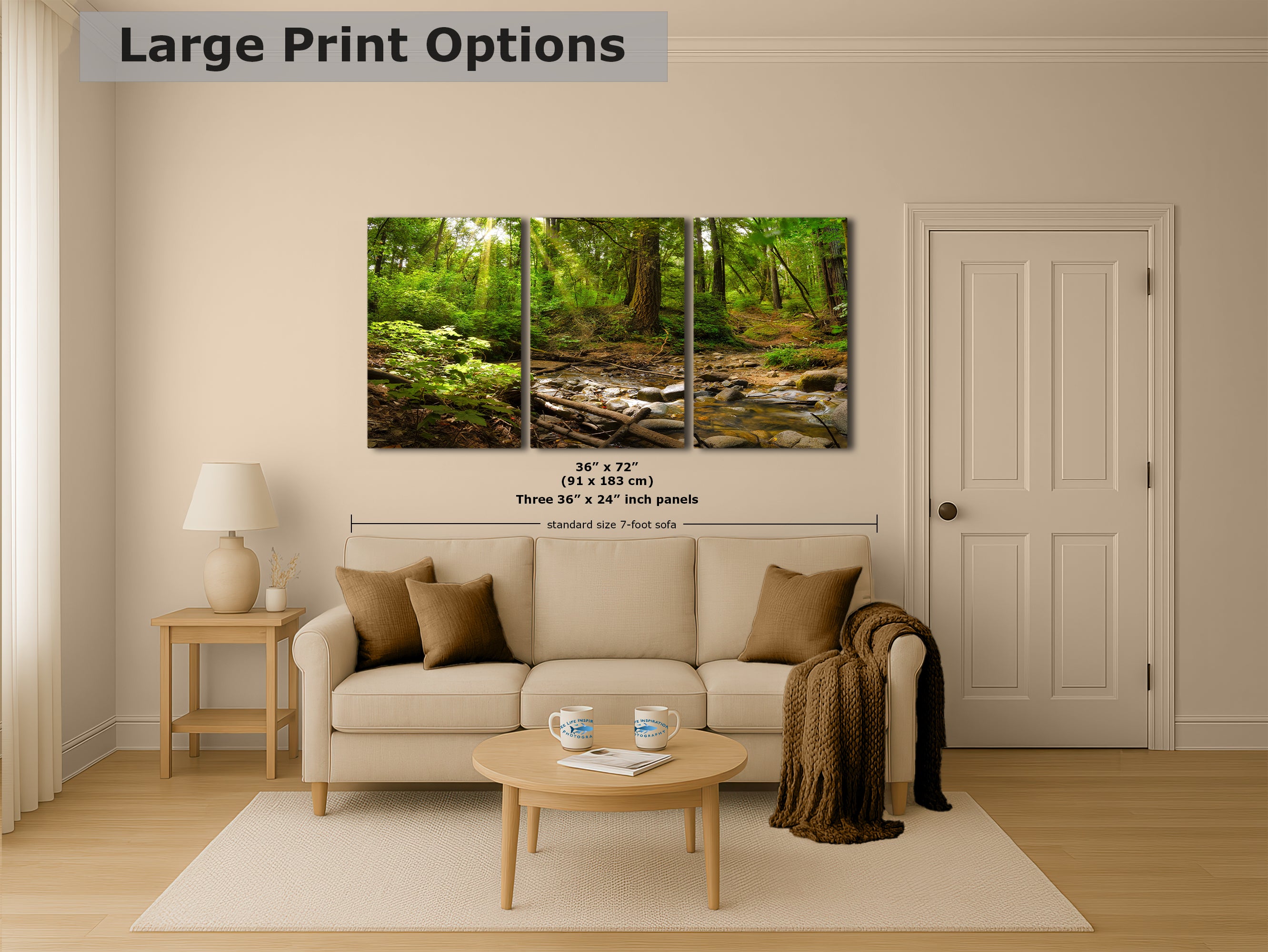 Redwood Trees Forest Picture Nature Photo, Forest Bathing in Santa Cruz California Coast Wall Art, Relaxing Artwork for House Decor & Office