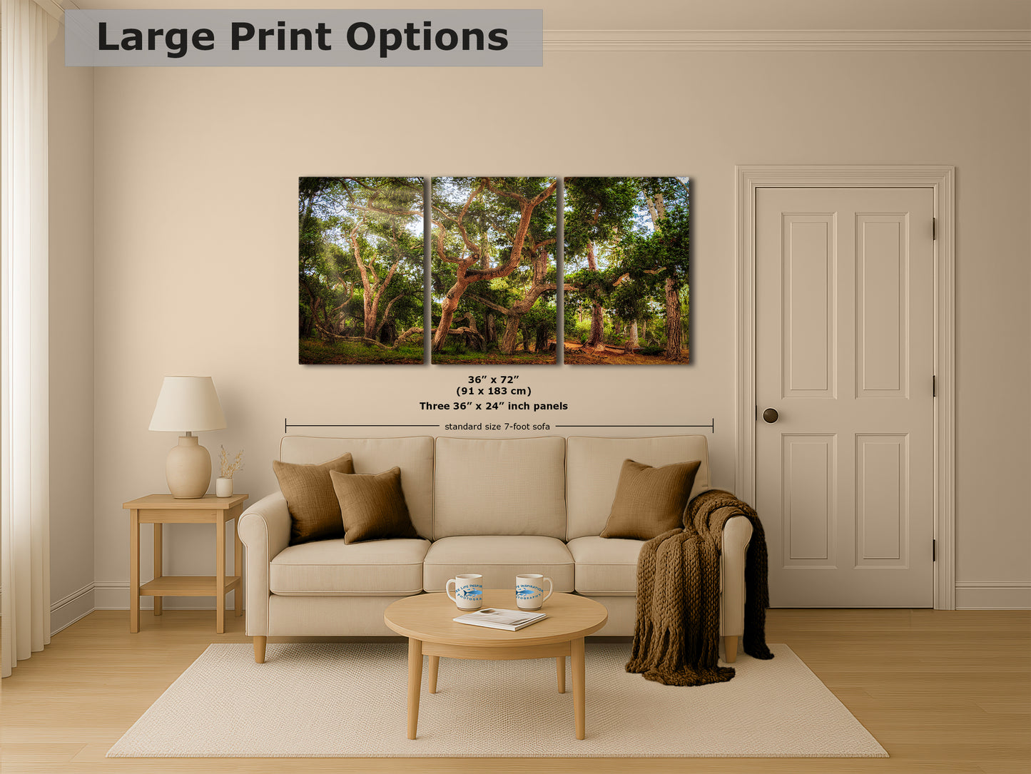 Coast Live Oak Forest Picture Nature Photo House Decor, Forest Bathing for Meditation, Relaxation, Dorm Room Decor