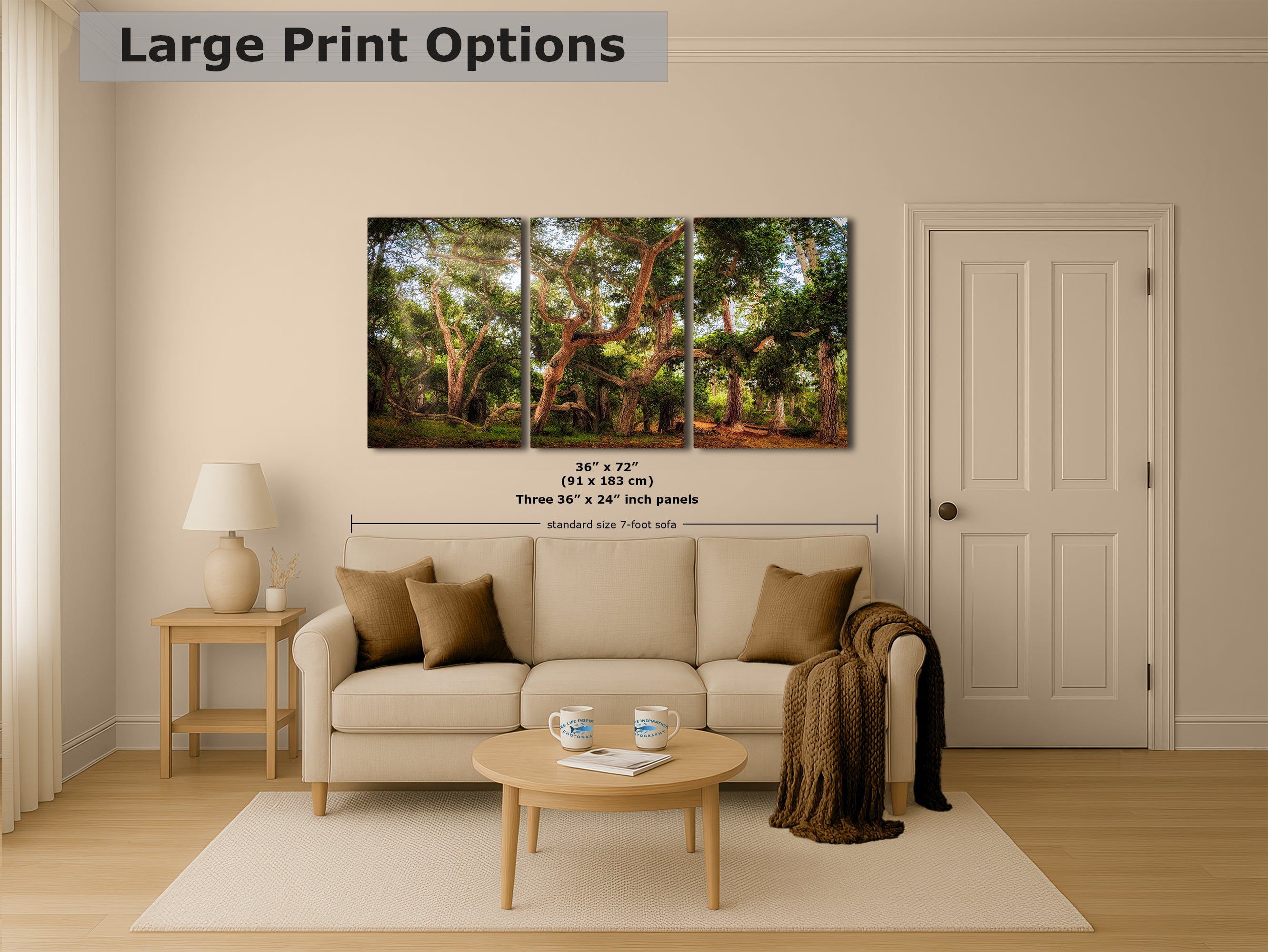Coast Live Oak Forest Picture Nature Photo House Decor, Forest Bathing for Meditation, Relaxation, Dorm Room Decor