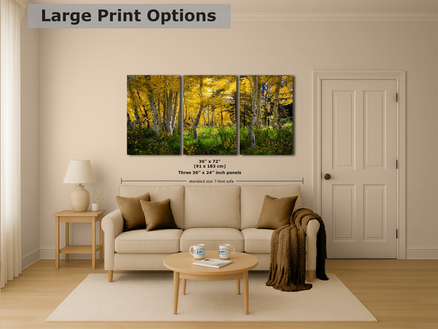 Aspen Tree Forest Picture Nature Photo, Forest Bathing Relaxation Artwork, Fall Colors Autumn for Meditation, Office and House Decor