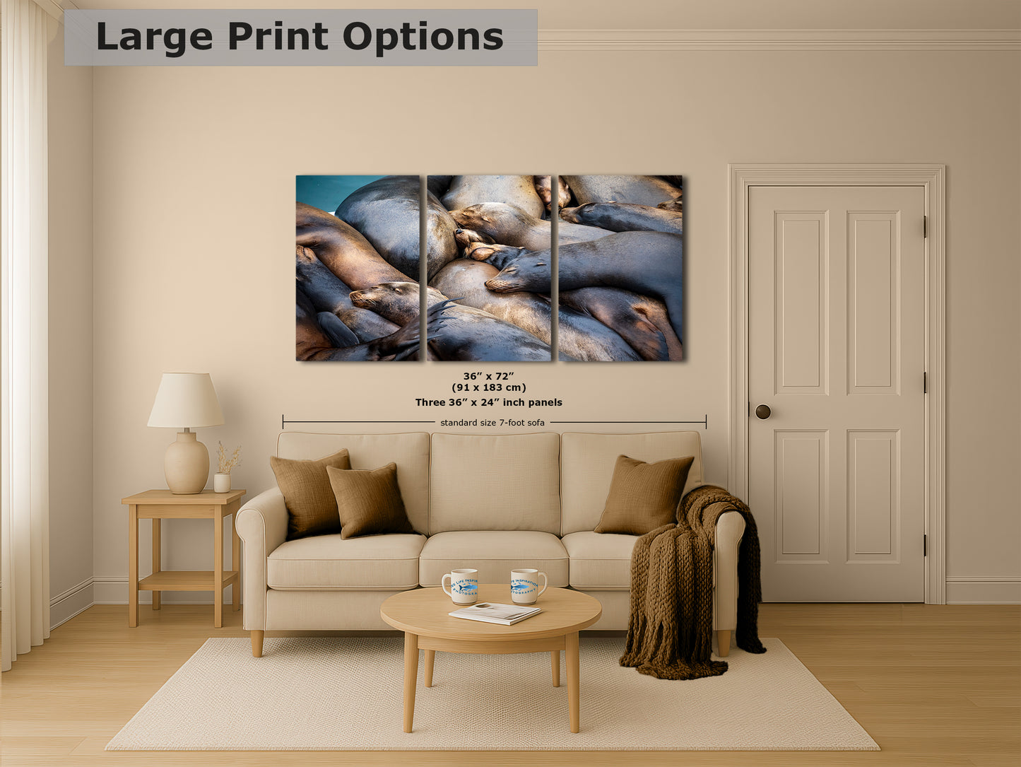 California Sea Lion Marine Mammal Wildlife Photography Wall Art - Ocean Animals Nursery Decor Coastal Home Artwork, Marine Biology Print