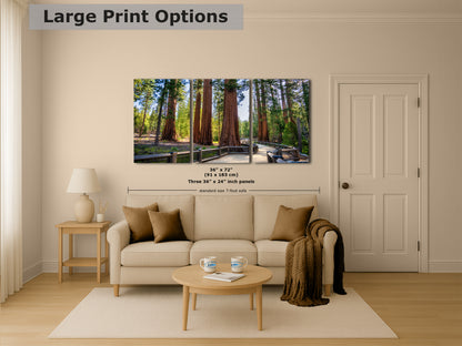 Giant Sequoia Tree Forest Picture Nature Photo | Yosemite Redwood Trees for Nature Lovers & Forest Bathing Relaxation, Meditation Artwork