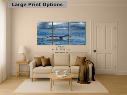 Humpback Whale Marine Mammal Wildlife Photography | Monterey Bay Ocean Scene Art Print for Nature Lovers and Marine Conservation Decor