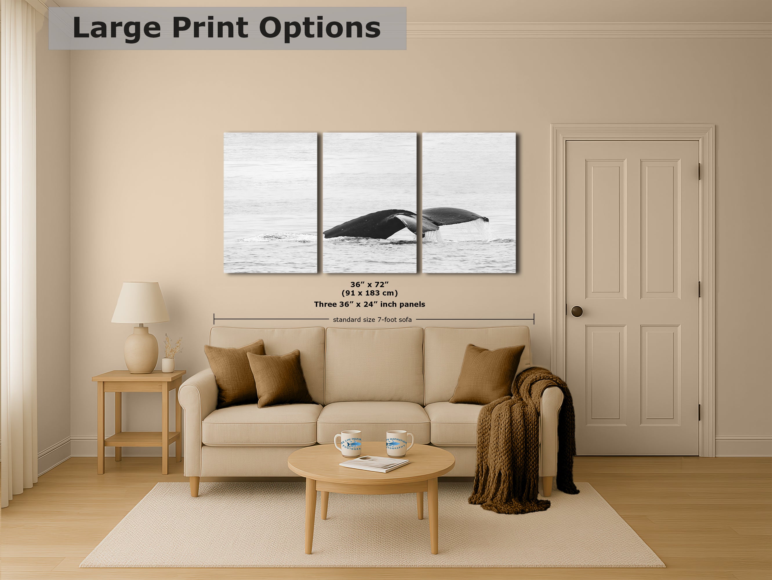 Humpback Whale Marine Mammal Wildlife Photography, Black and White, Monterey Bay Ocean Scene Art Print for Nature Lovers and Marine Conservation Decor