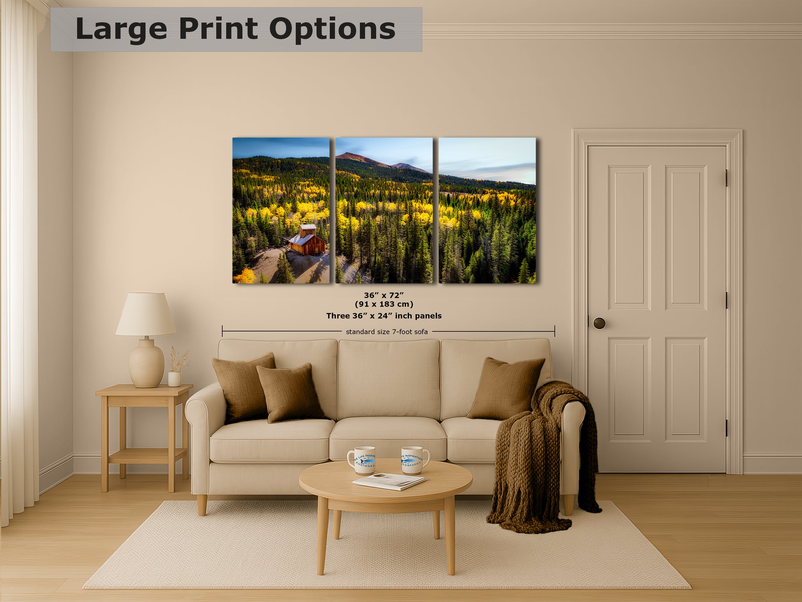 Colorado Boy Mine, San Juan Mountain Picture, Fall Colors Aspen Trees Forest Picture Nature Photo for Relaxation Artwork, Meditation and House Decor