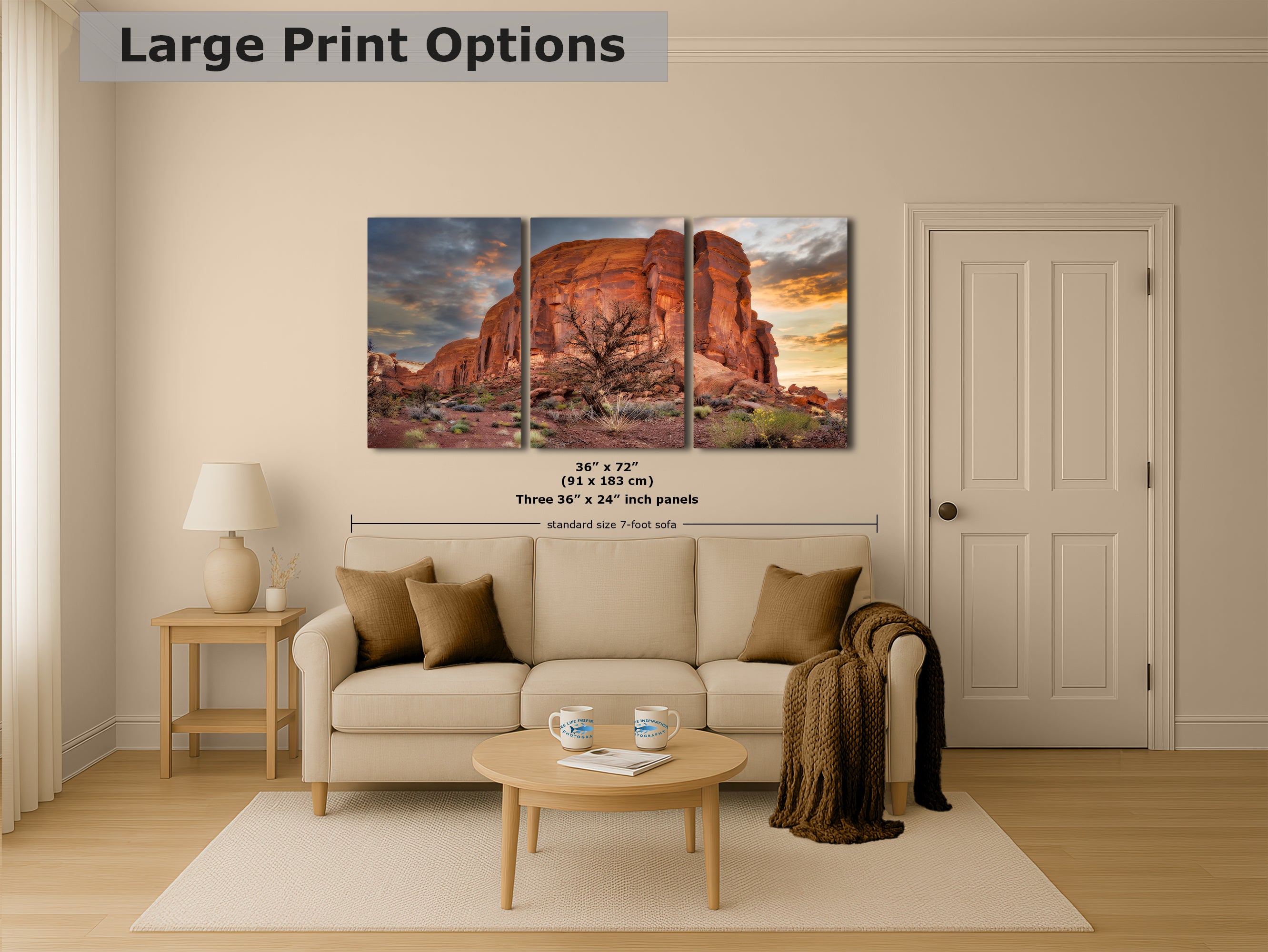 Monument Valley Arizona Desert Picture Cactus Nature Photo, Bohemian Style Relaxation Artwork for Meditation, Apartment, Office & House Decor