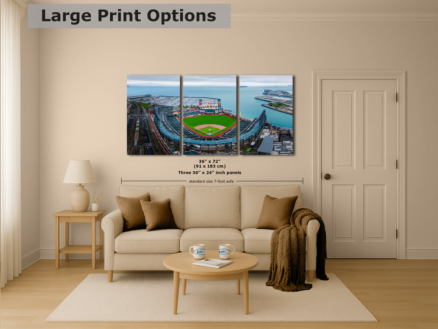 San Francisco Giants Baseball Stadium, Oracle Park Canvas Print